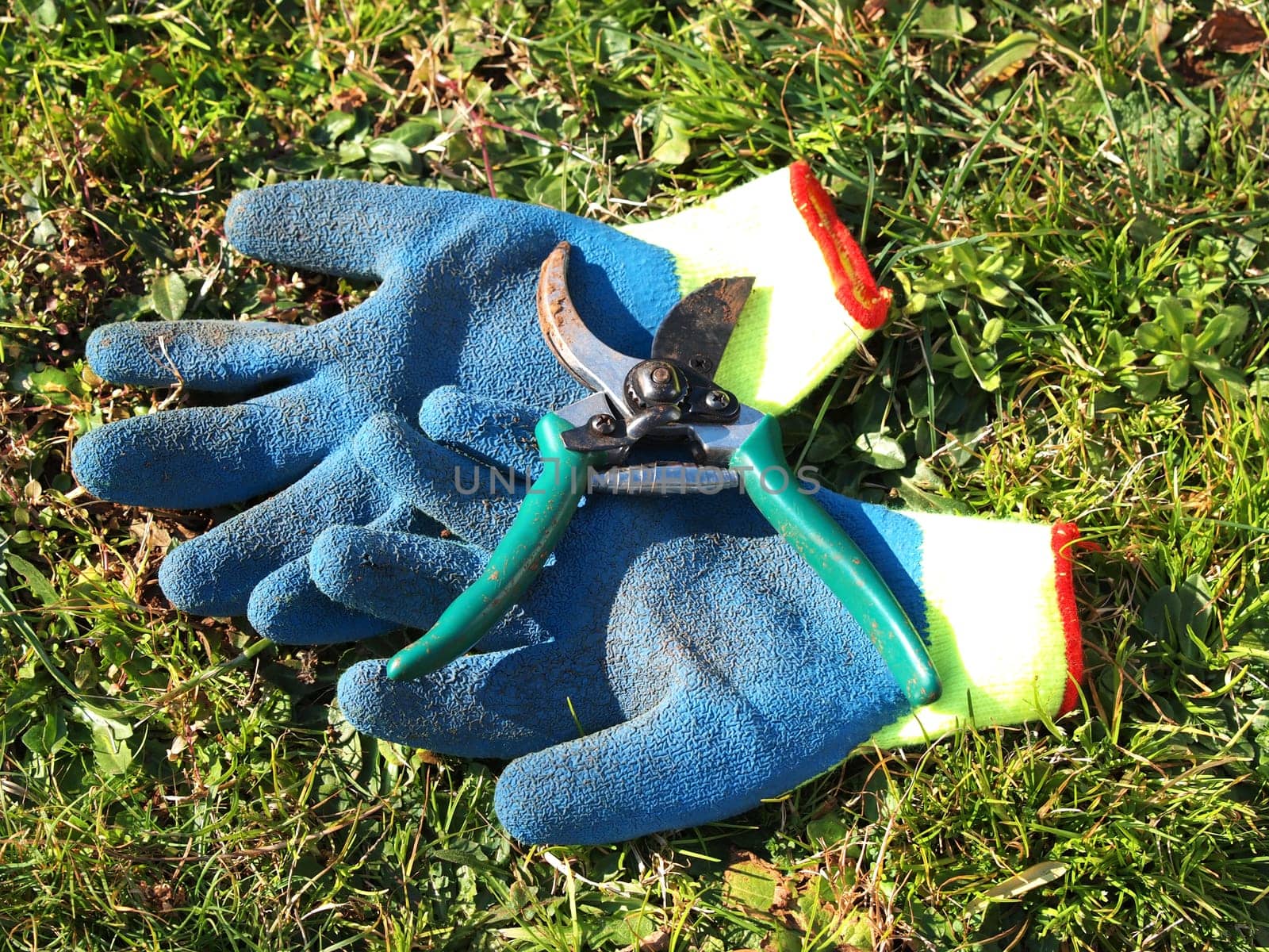 gloves and shears in the grass