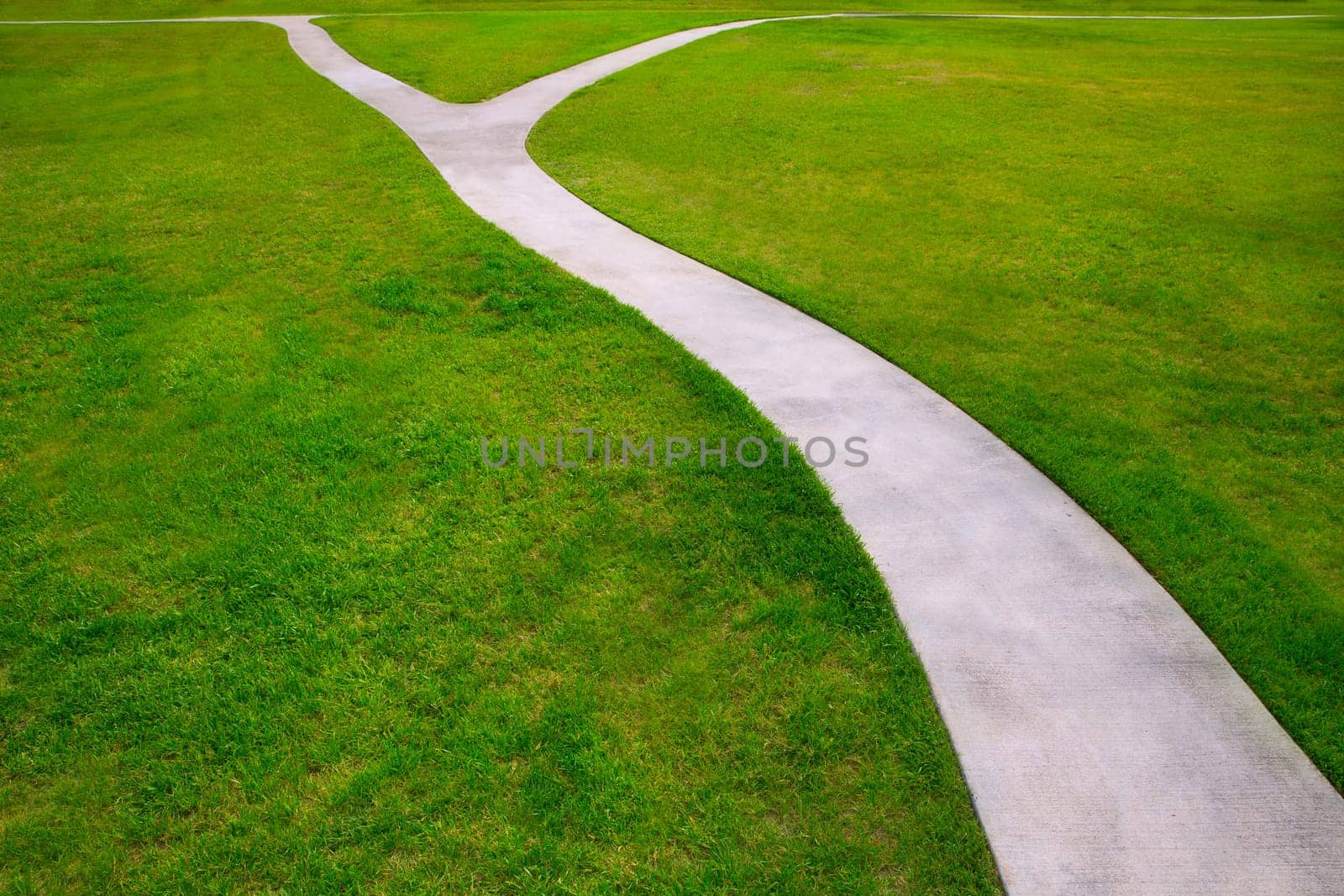 Garden lawn grass with a two option ways detour metaphor of which way to choose