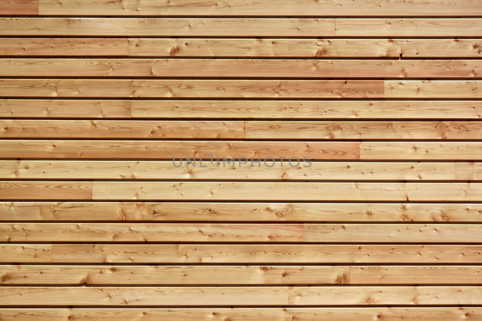 a wall made ​​of natural wood for the construction of an ecological house