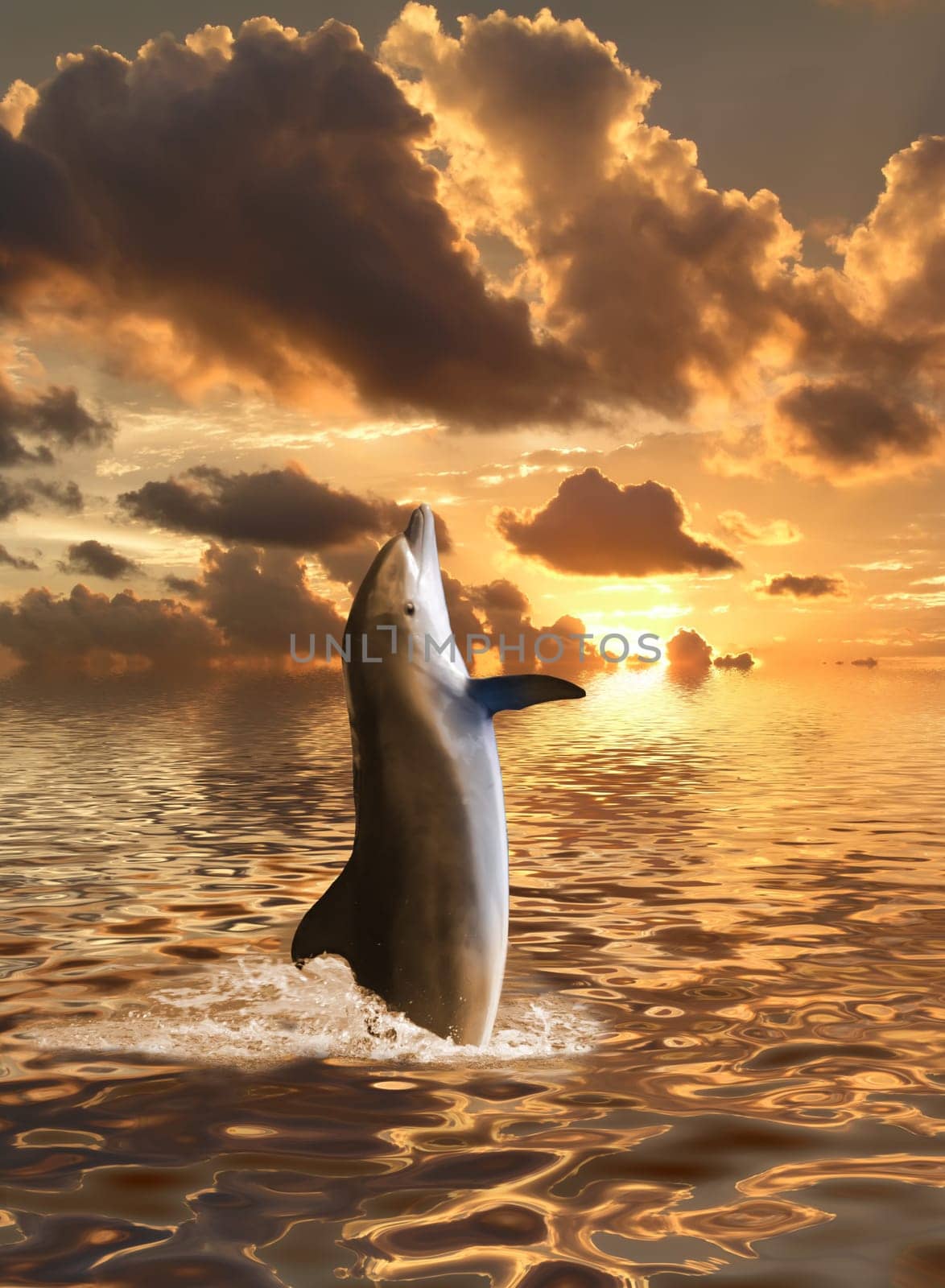 Dolphin floating at ocean