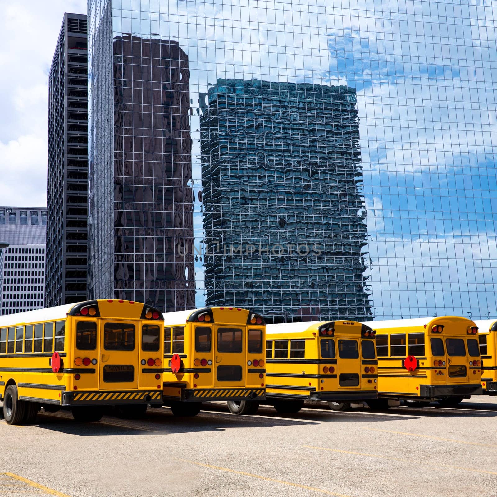 American school bus rear view in a row at Houston skyline photo mount