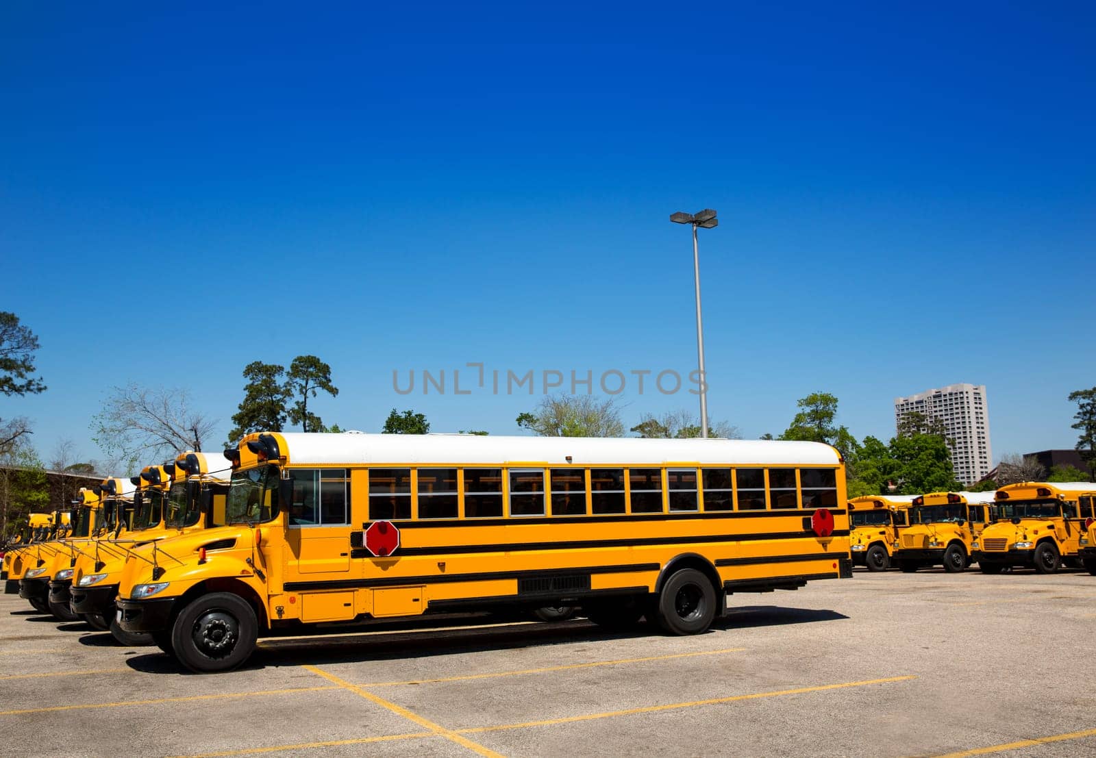American typical school buses in a row in a parking lot