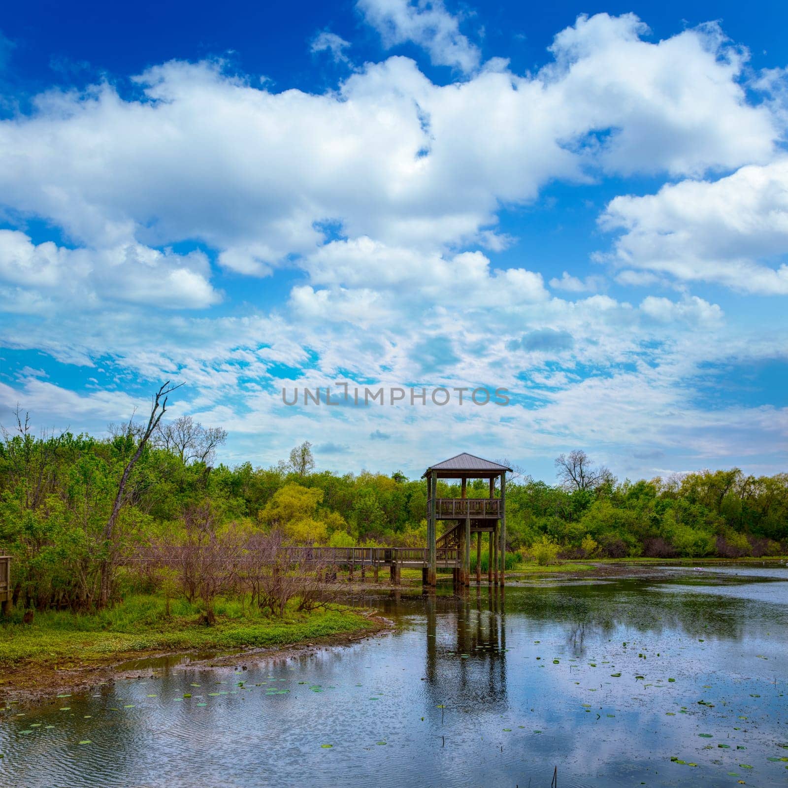 White Lake at Cullinan Park in sugarland near Houston Texas