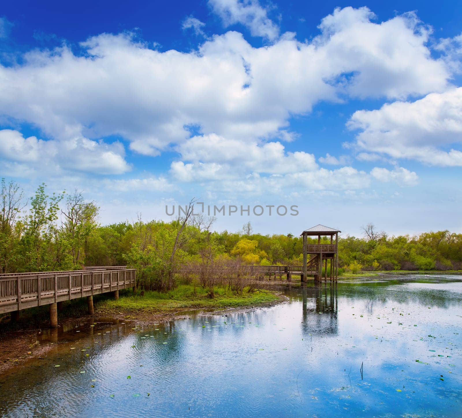 White Lake at Cullinan Park in sugarland near Houston Texas