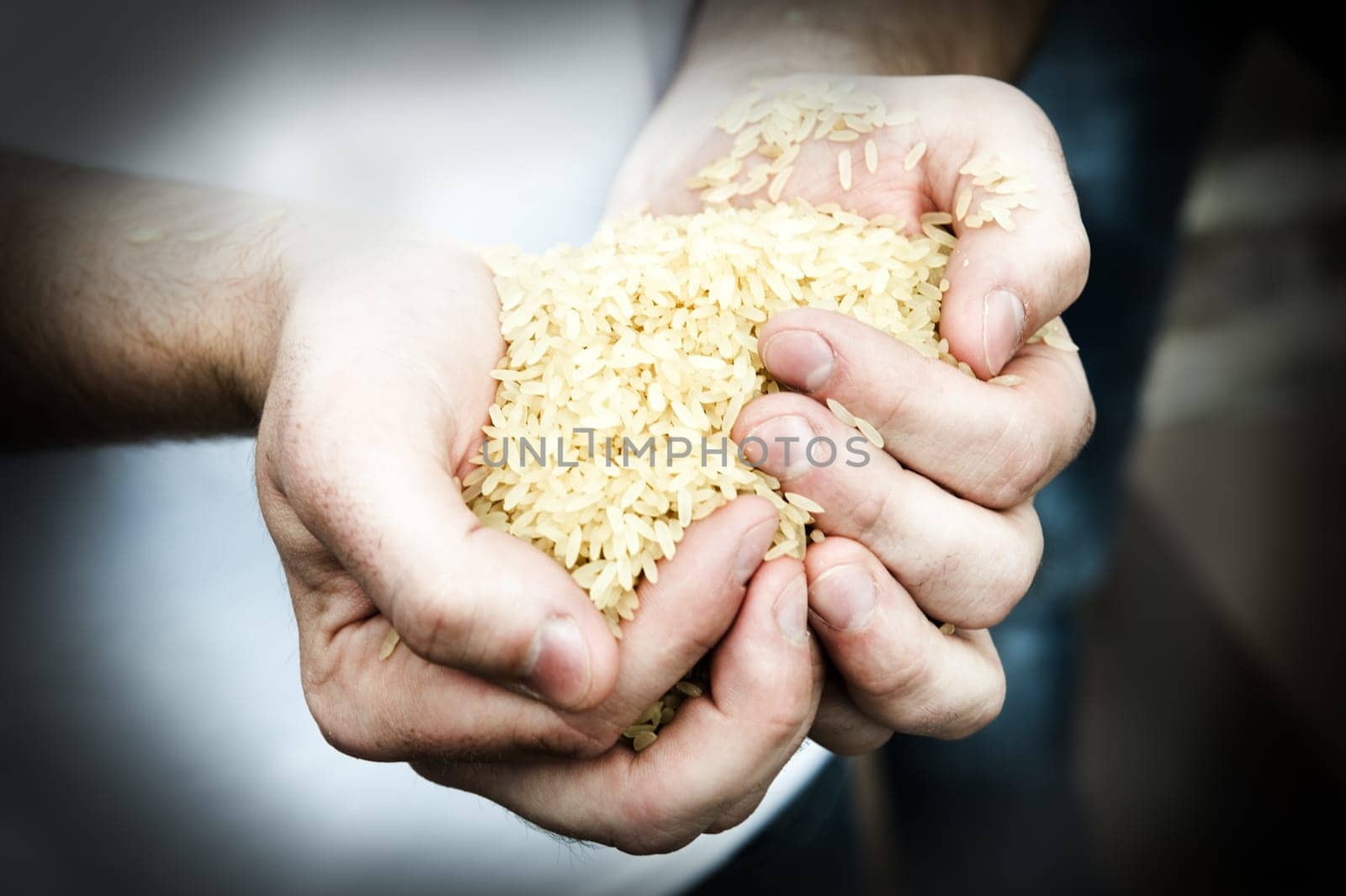 Rice