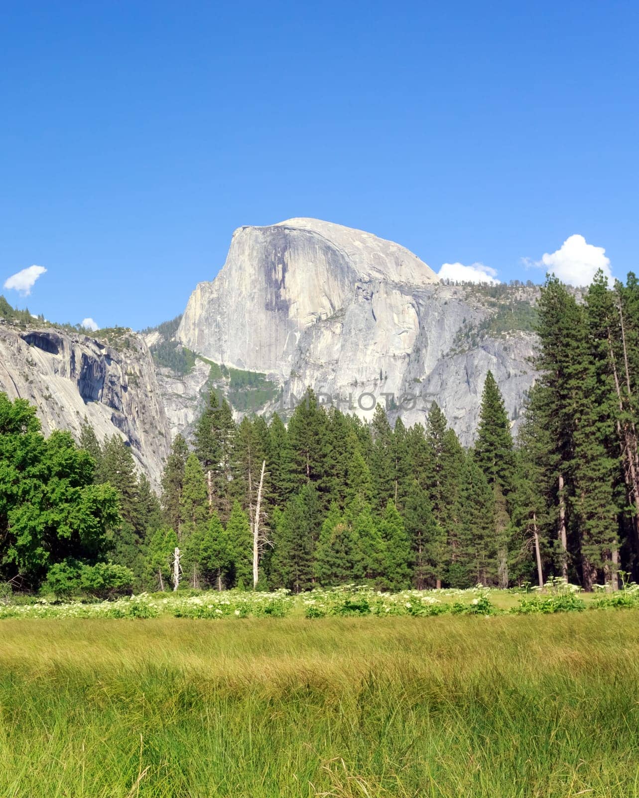 Half Dome, Yosemite National Park