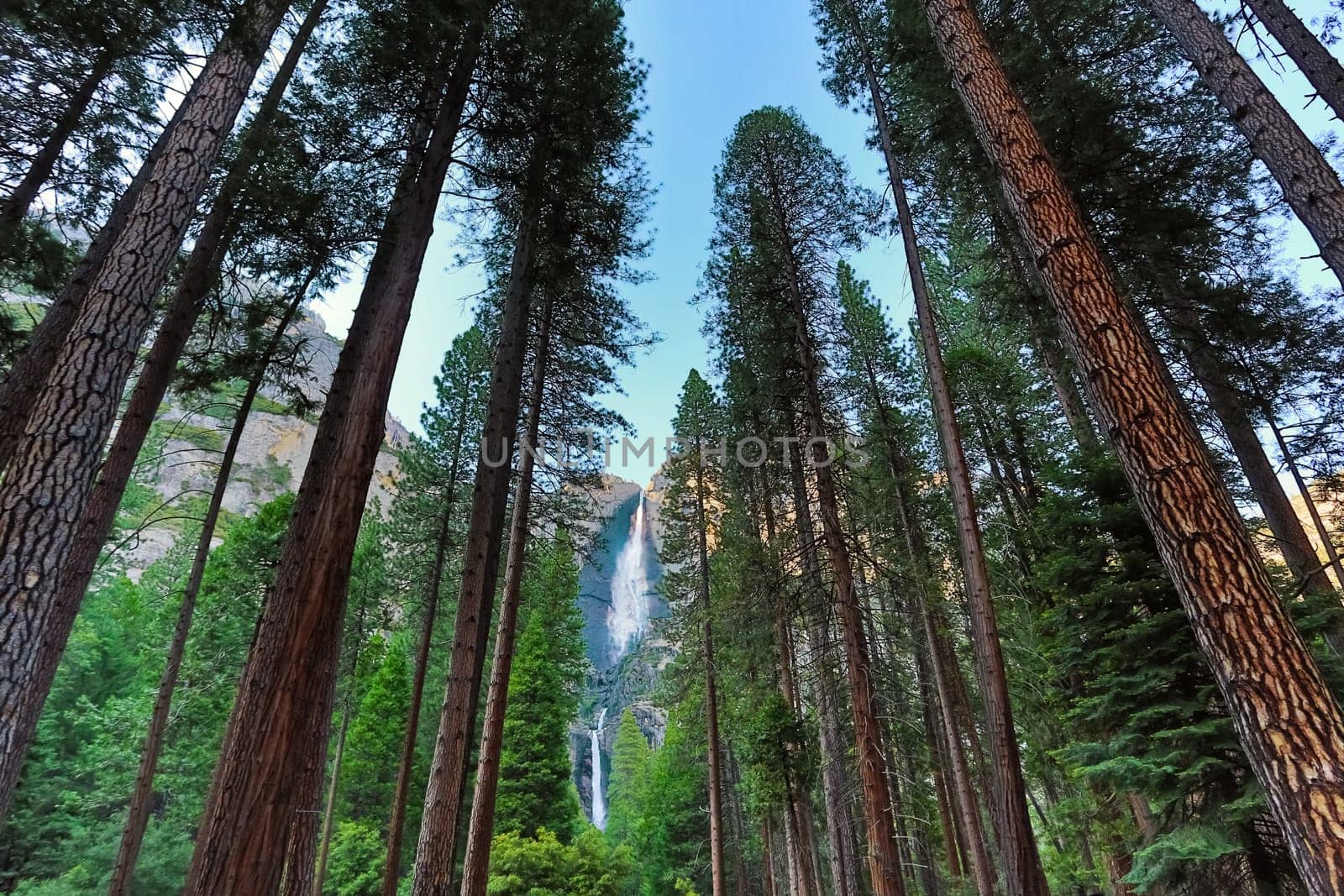 Yosemite Falls