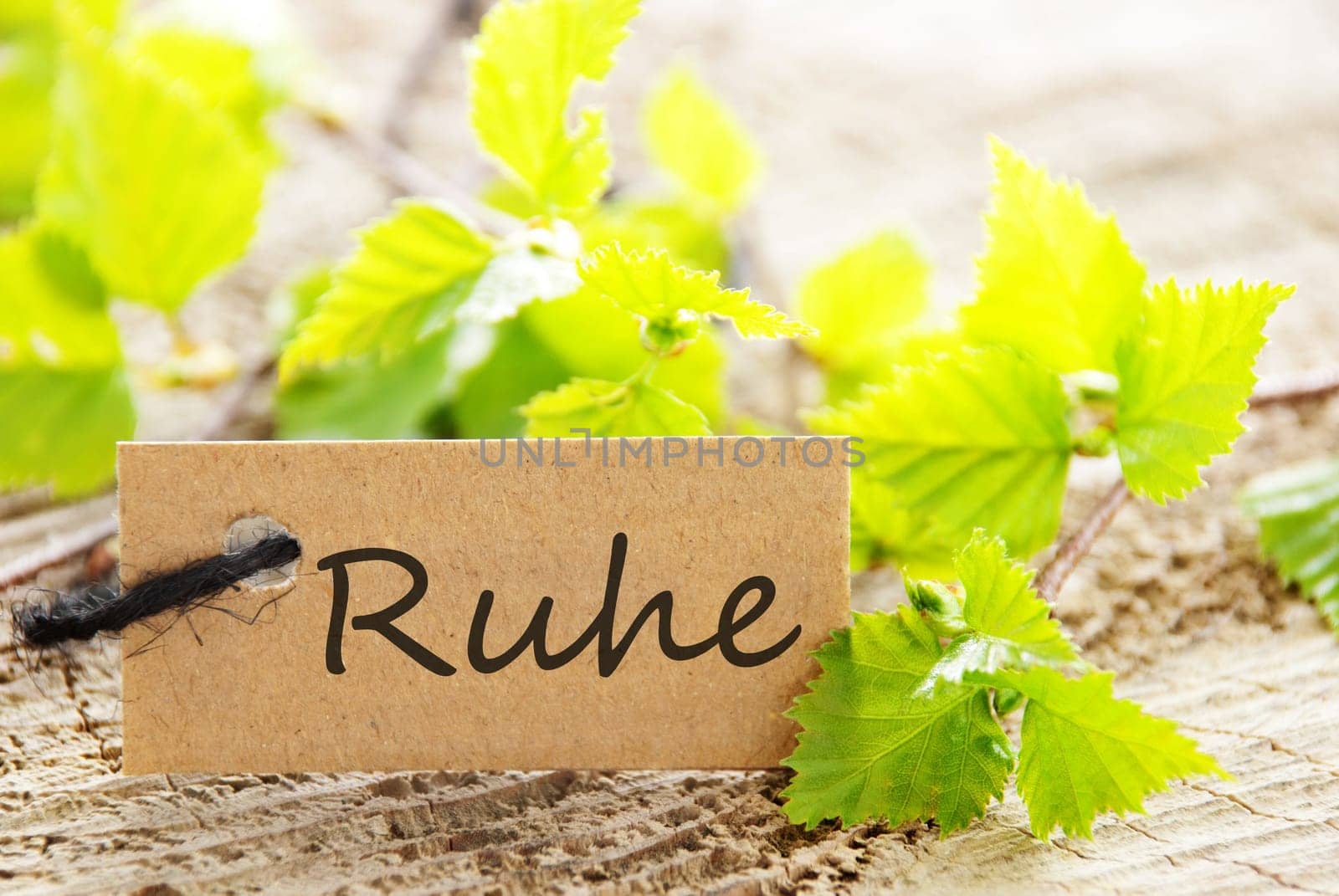 a natural looking label with green leaves and wood as background