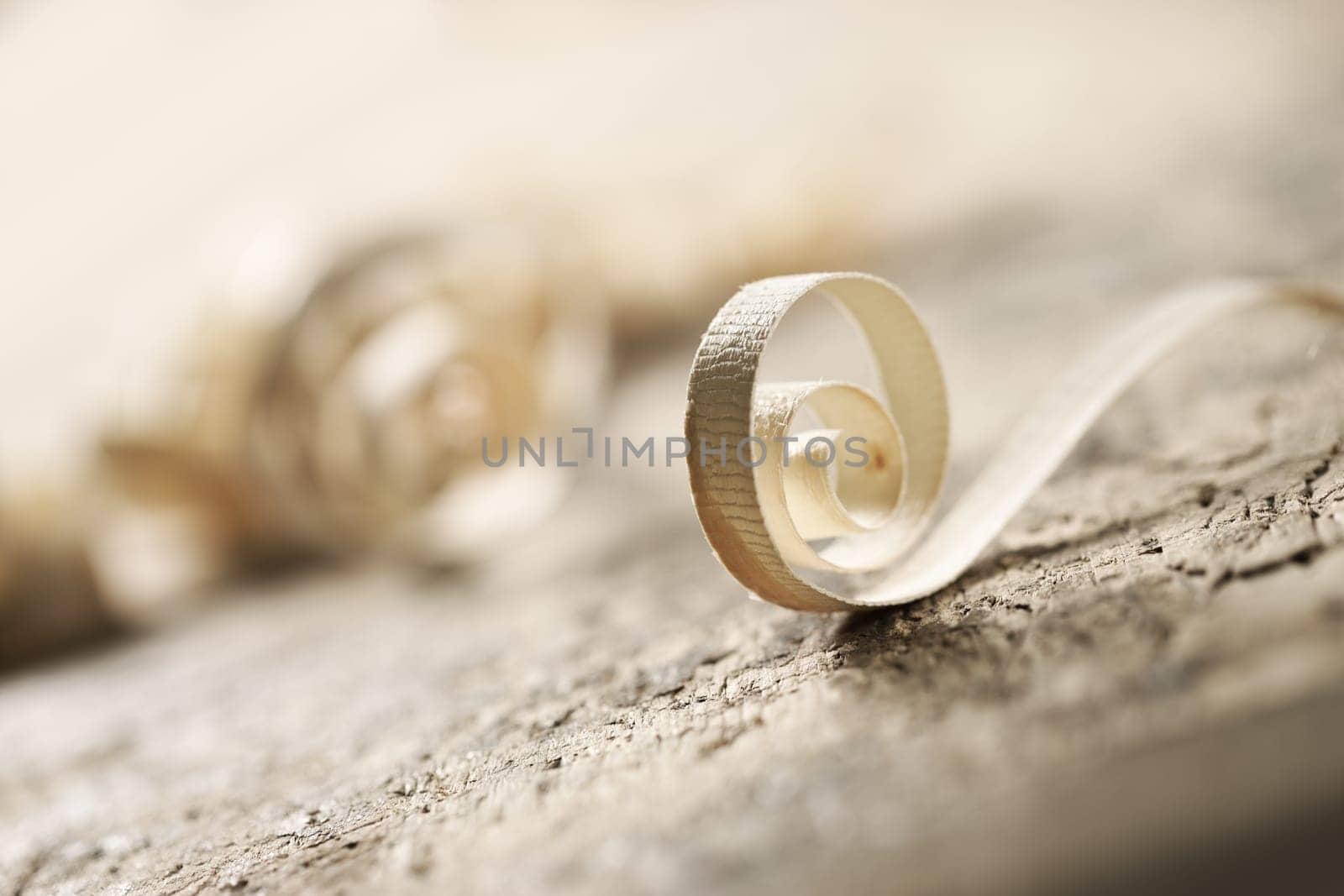 wood shavings with shallow depth of field