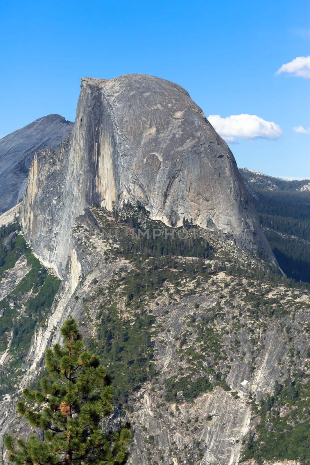 Half Dome, Yosemite National Park