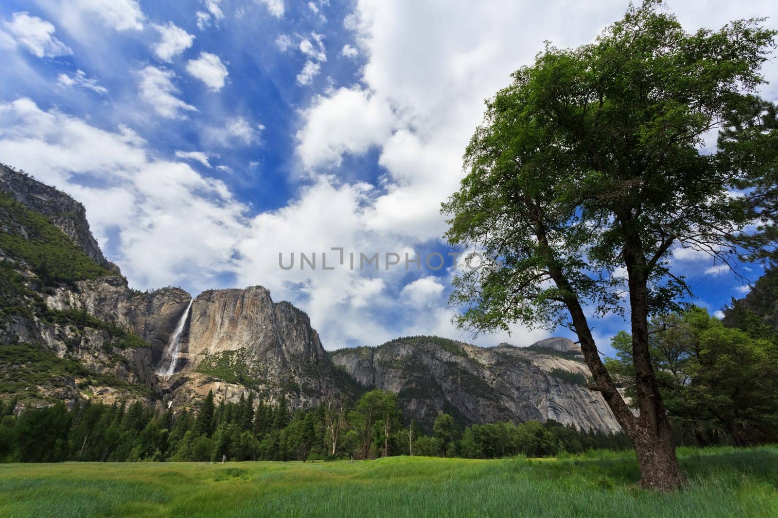 Yosemite Falls