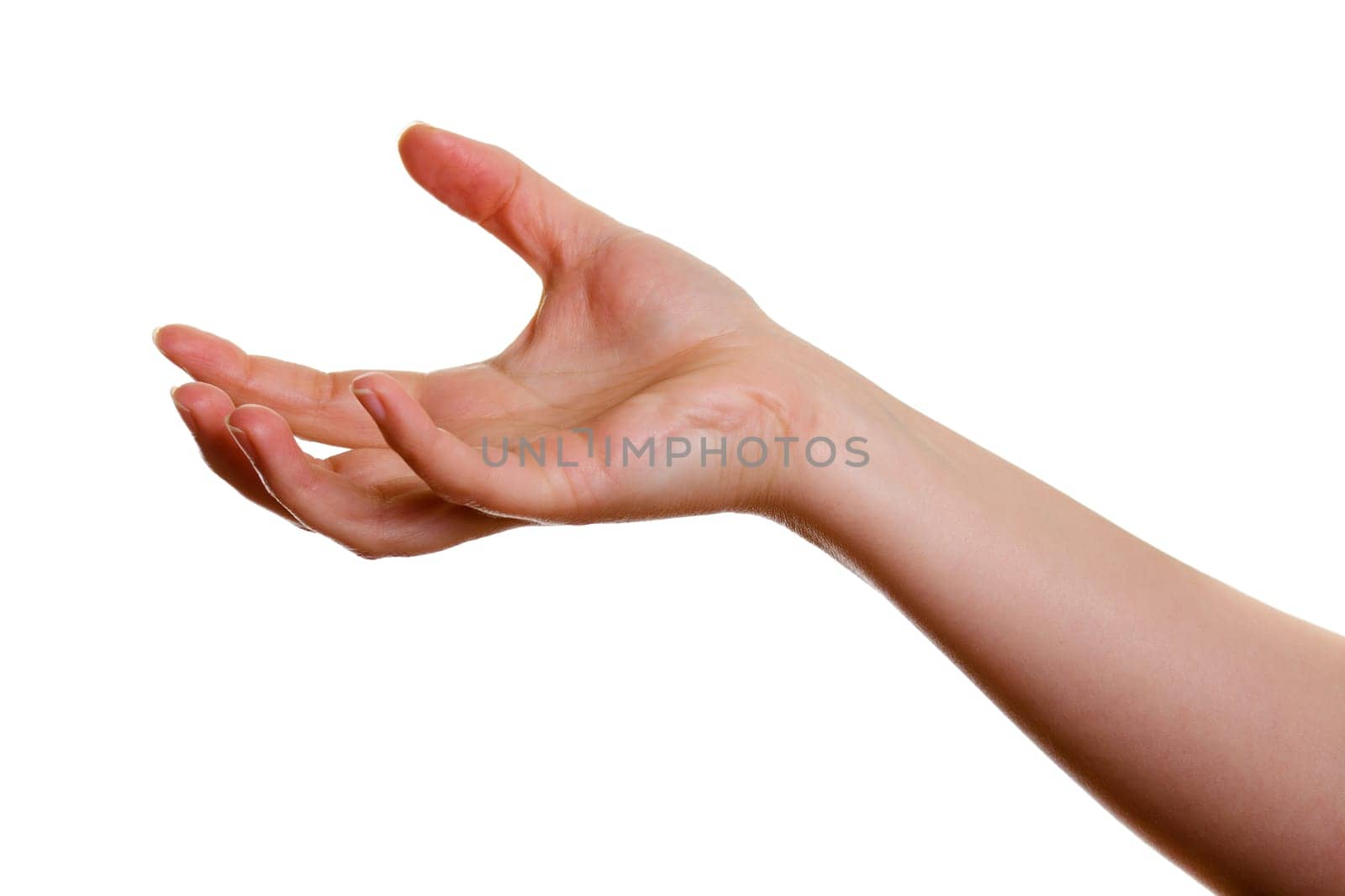 Woman's hand clutched isolated on white background