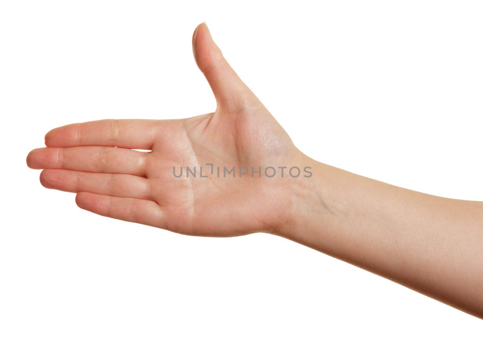 open palm of female hands on a white background. fingers together