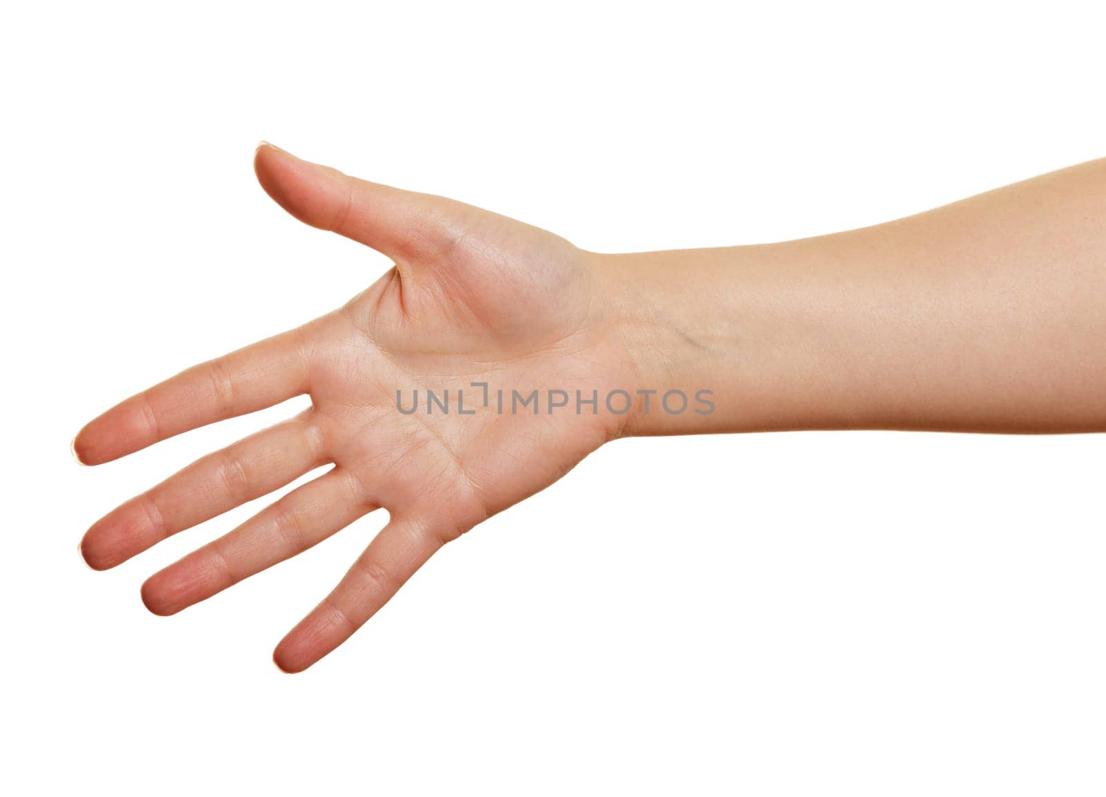 woman's hand on a white background. open palm