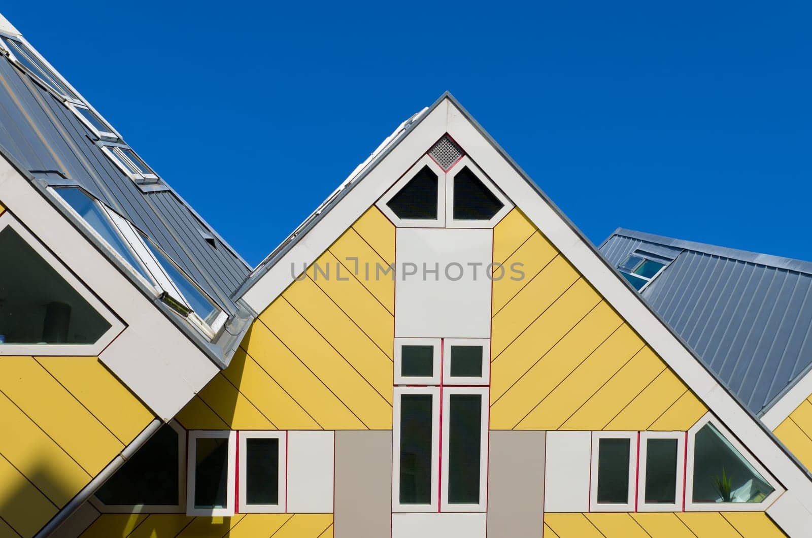 Cube houses, designed by architect Piet Blom. His design represents a village within a city, where each house represents a tree, and all the houses together, a forest