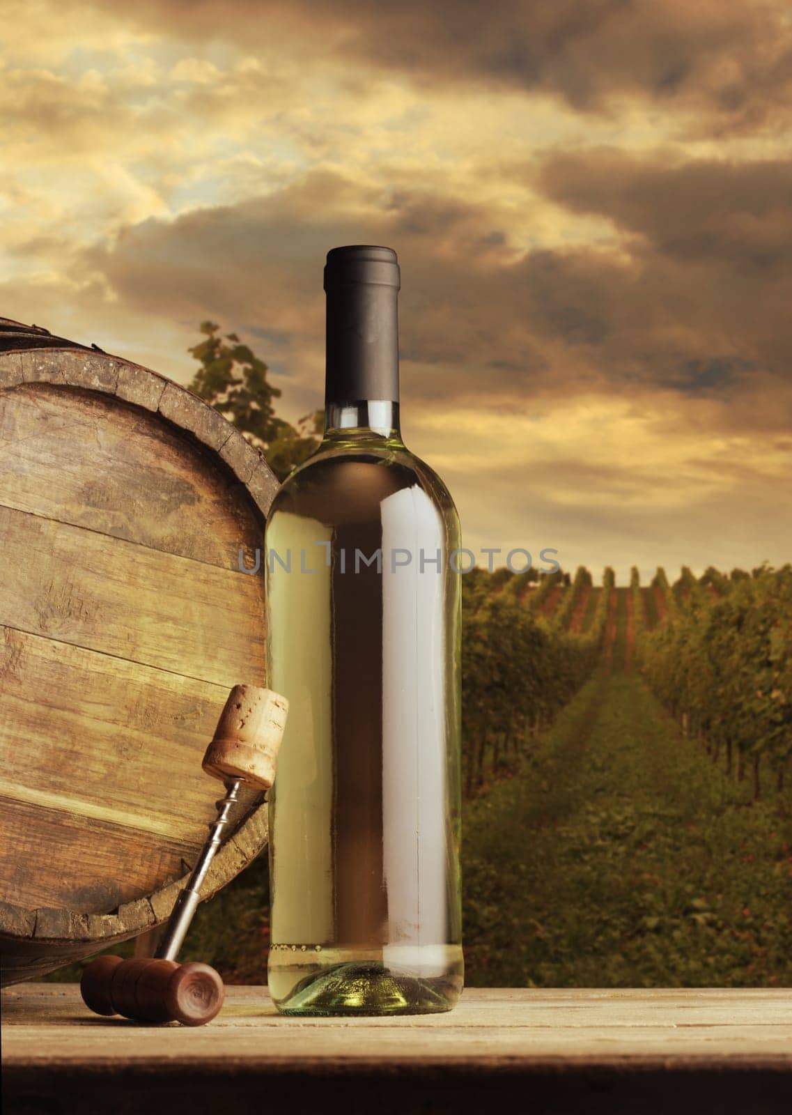 Wine bottle on vineyard background