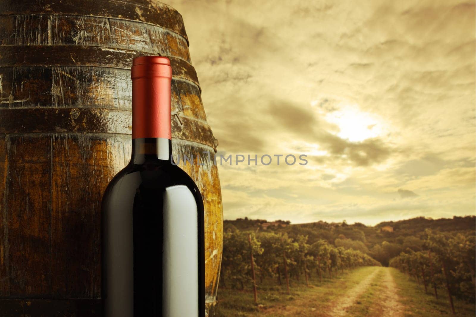 red wine bottle and wodden barrel, vineyard on background