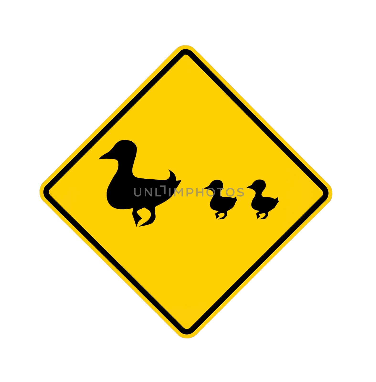 road sign - ducks crossing.