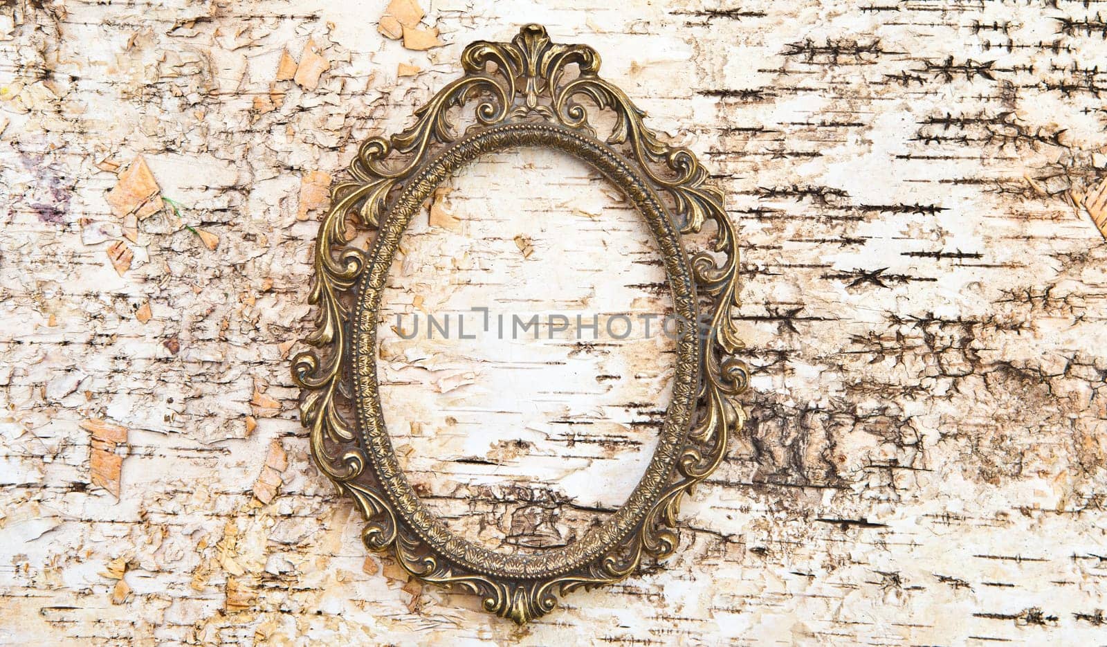 Old-fashioned frame on a birch bark background