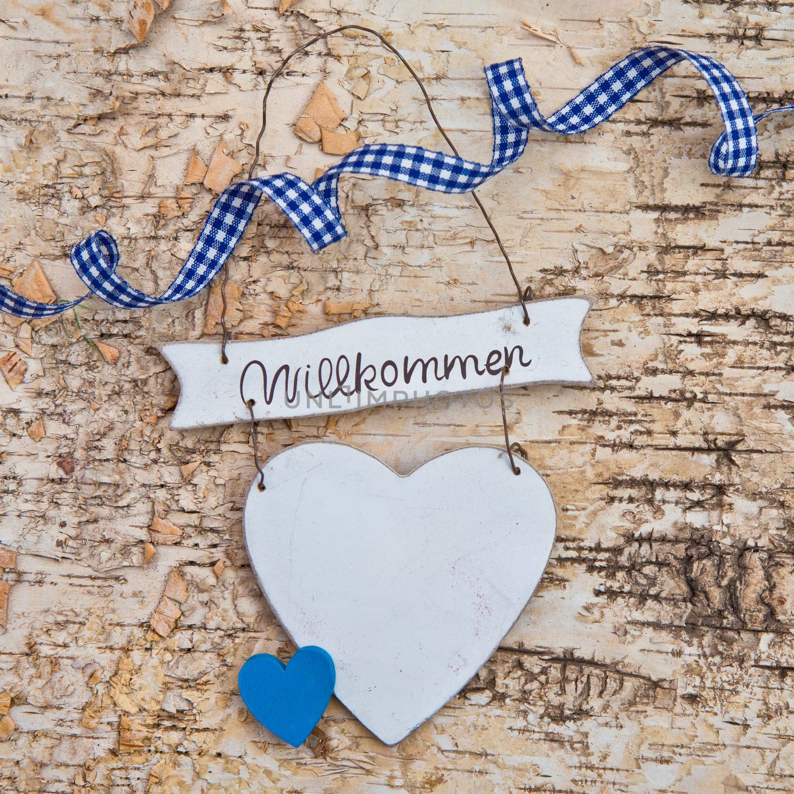 Heart with checkered bow on birch bark background