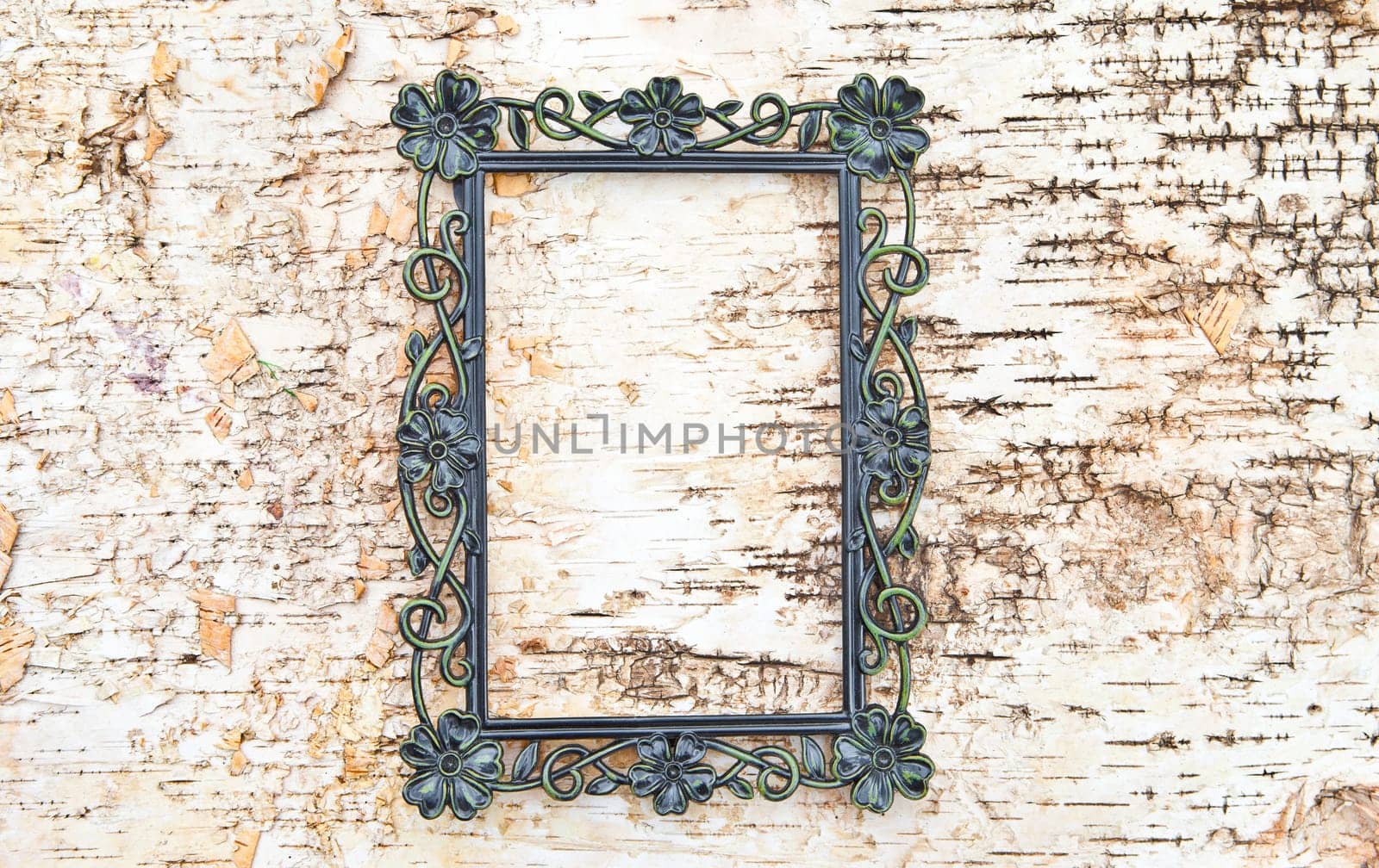 Old-fashioned frame on a birch bark background