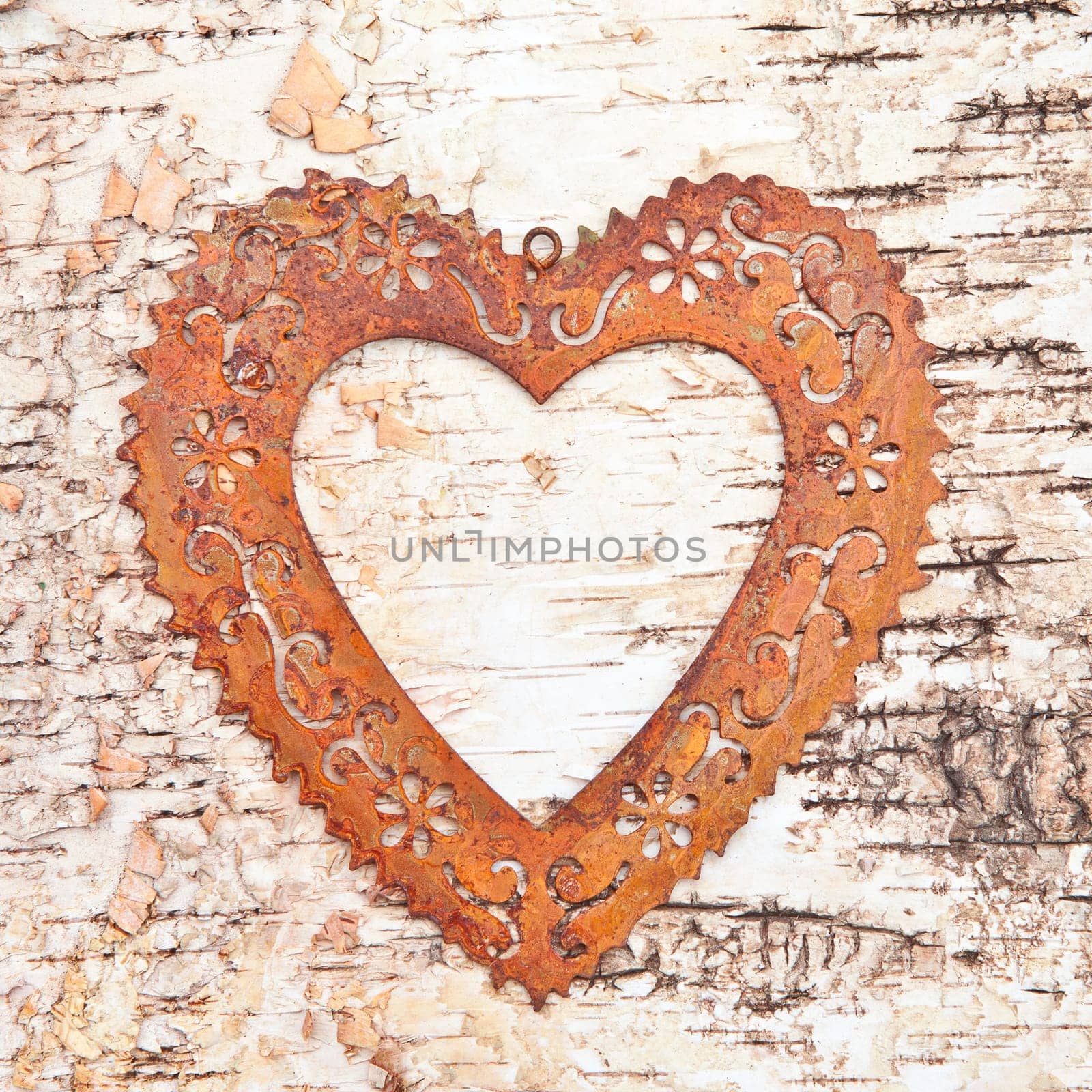 Old-fashioned frame on a birch bark background