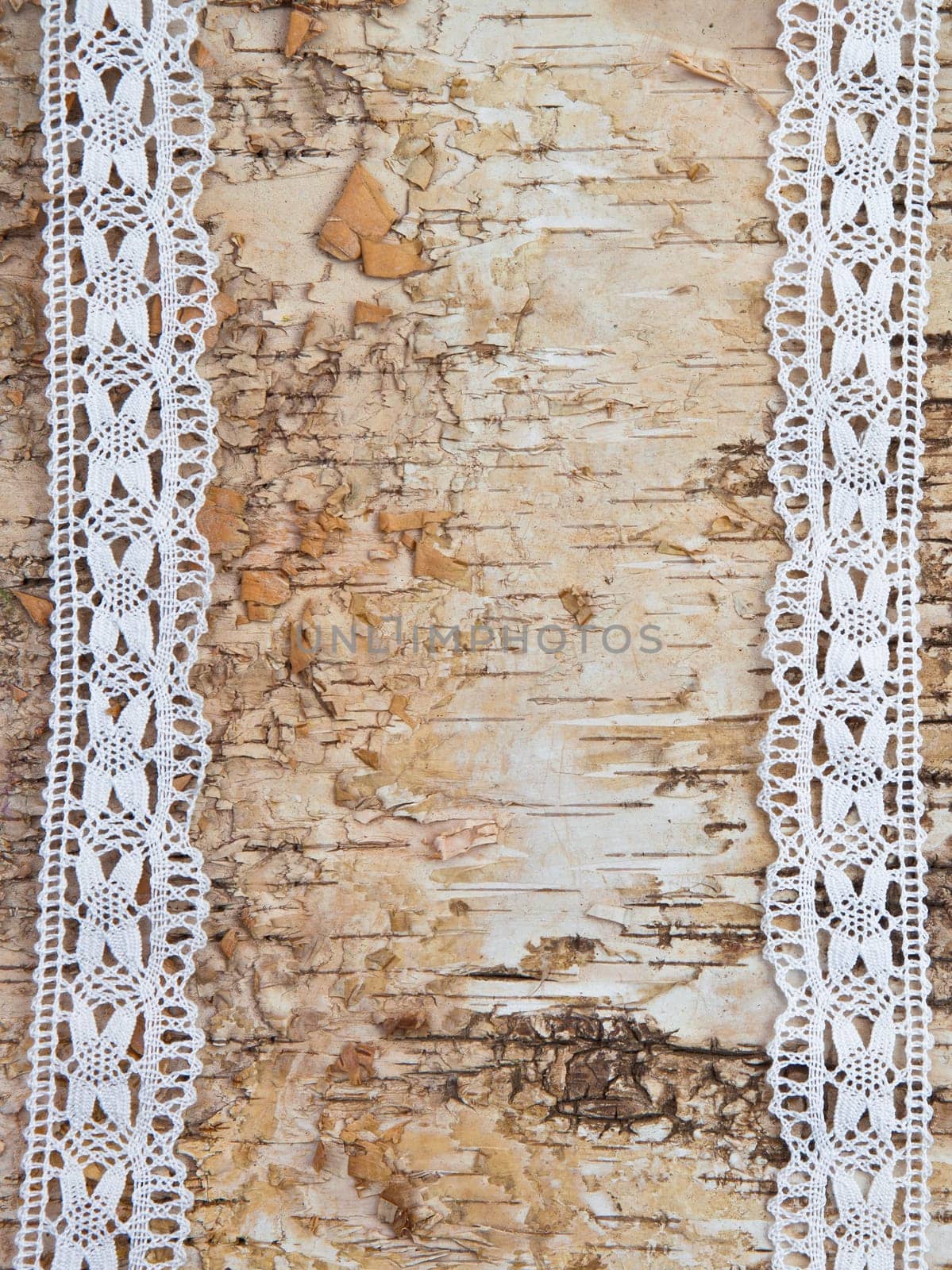 Birch bark background with white lace border