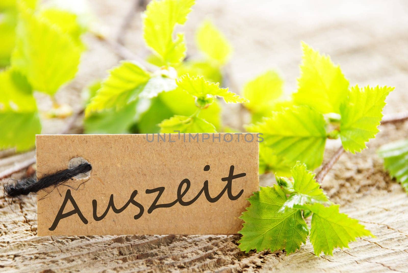 a natural looking label with green leaves and wood as background