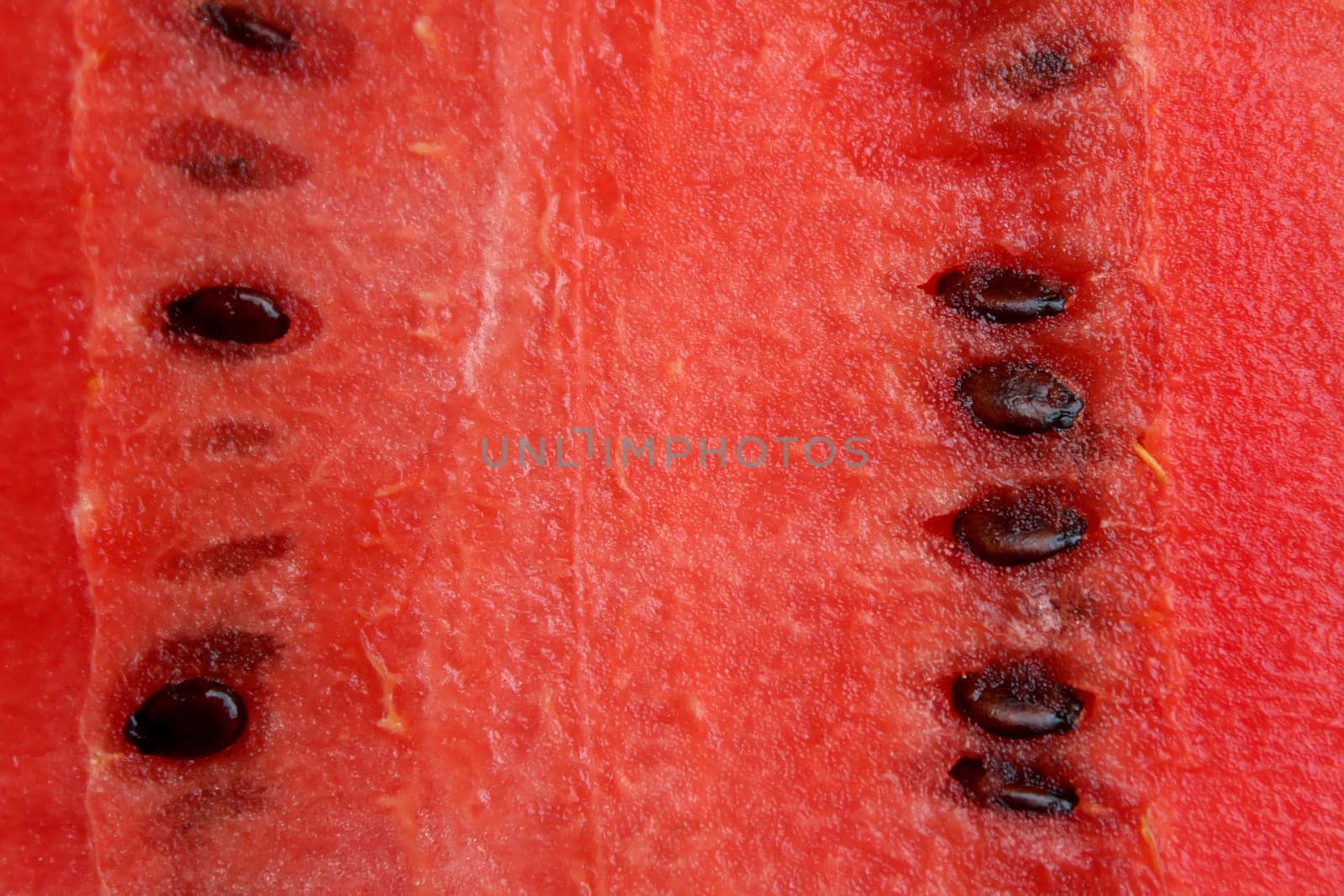 piece of fresh watermelon