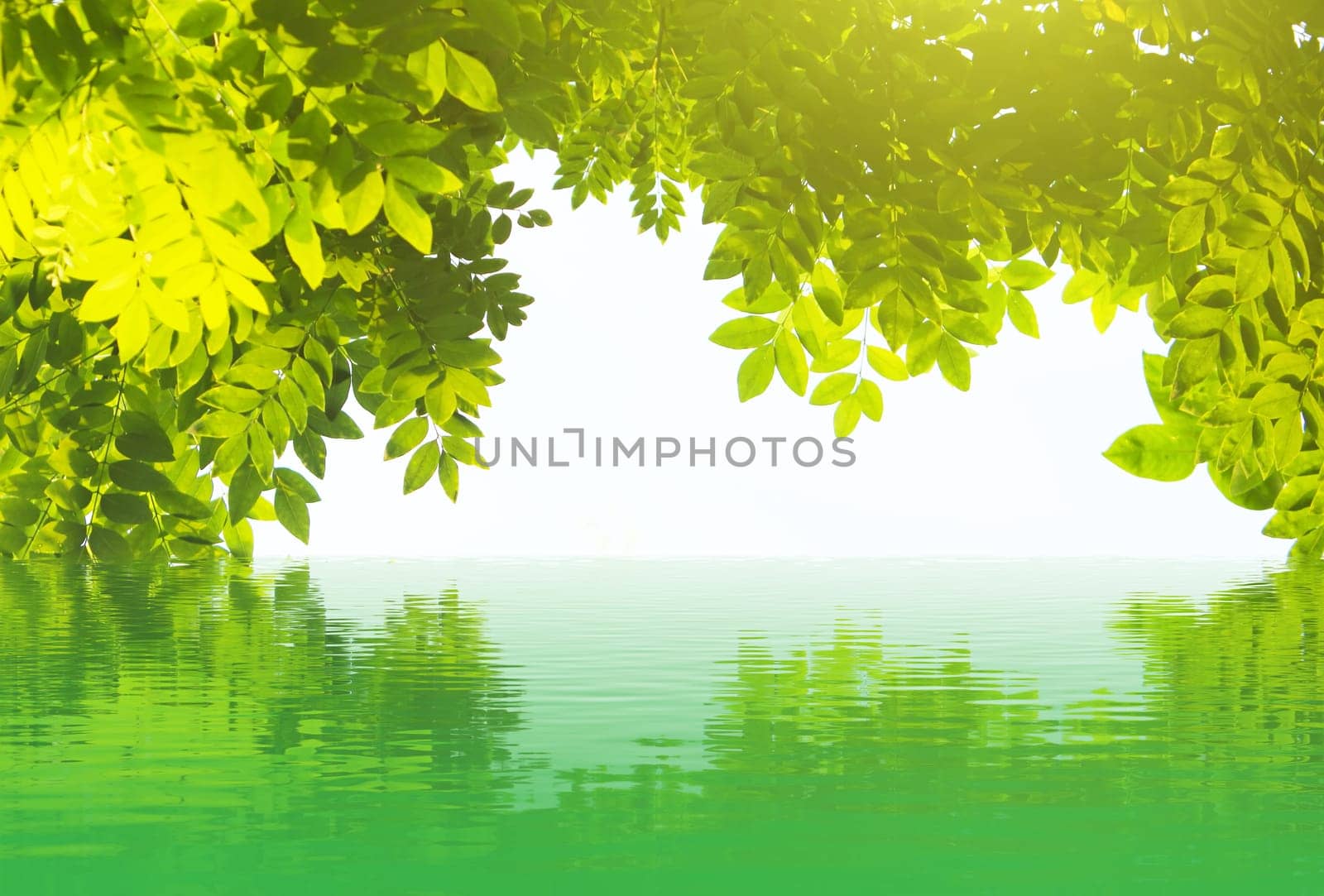 Abstract natural backgrounds for your design