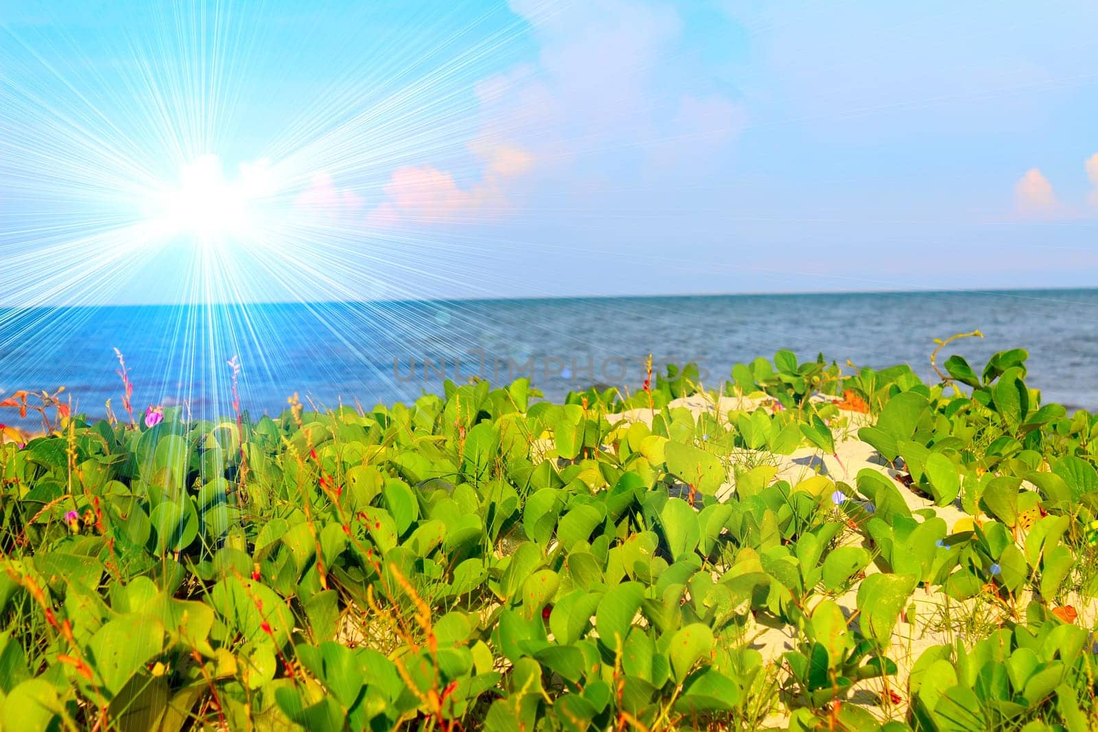 beach of china