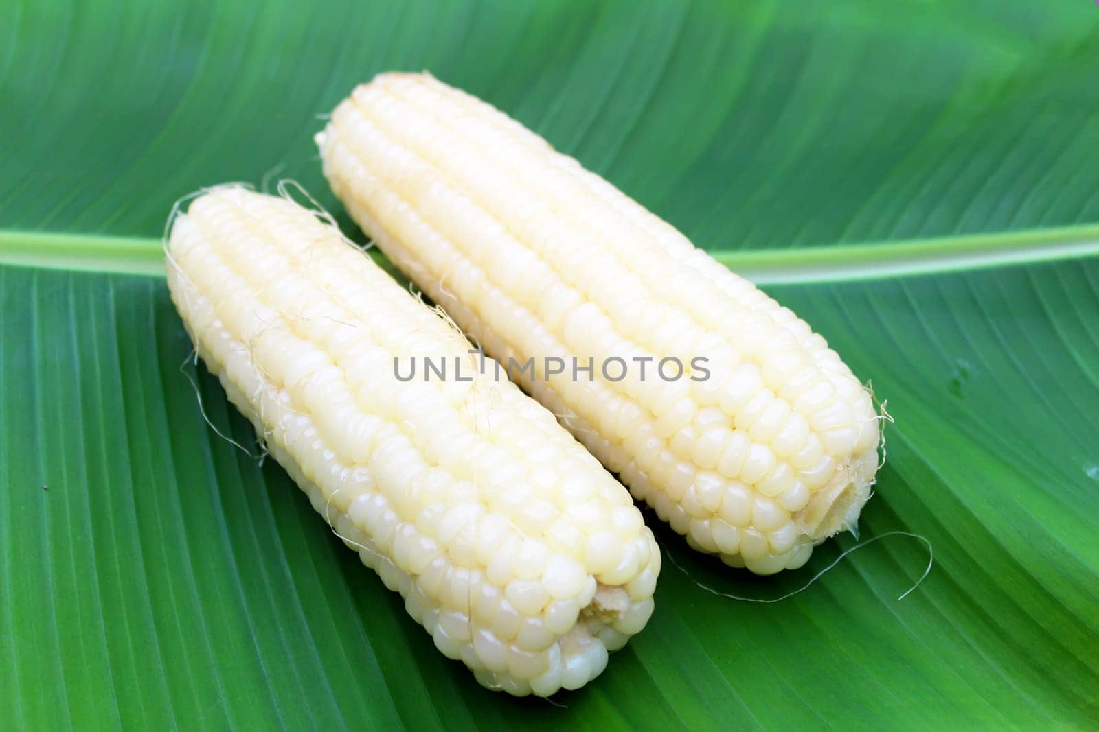 boiled corn on banana leaf