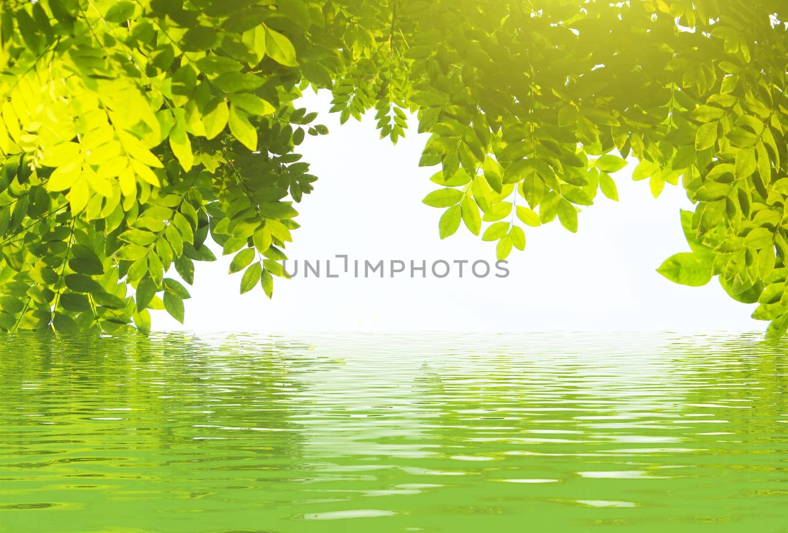 Abstract natural backgrounds for your design