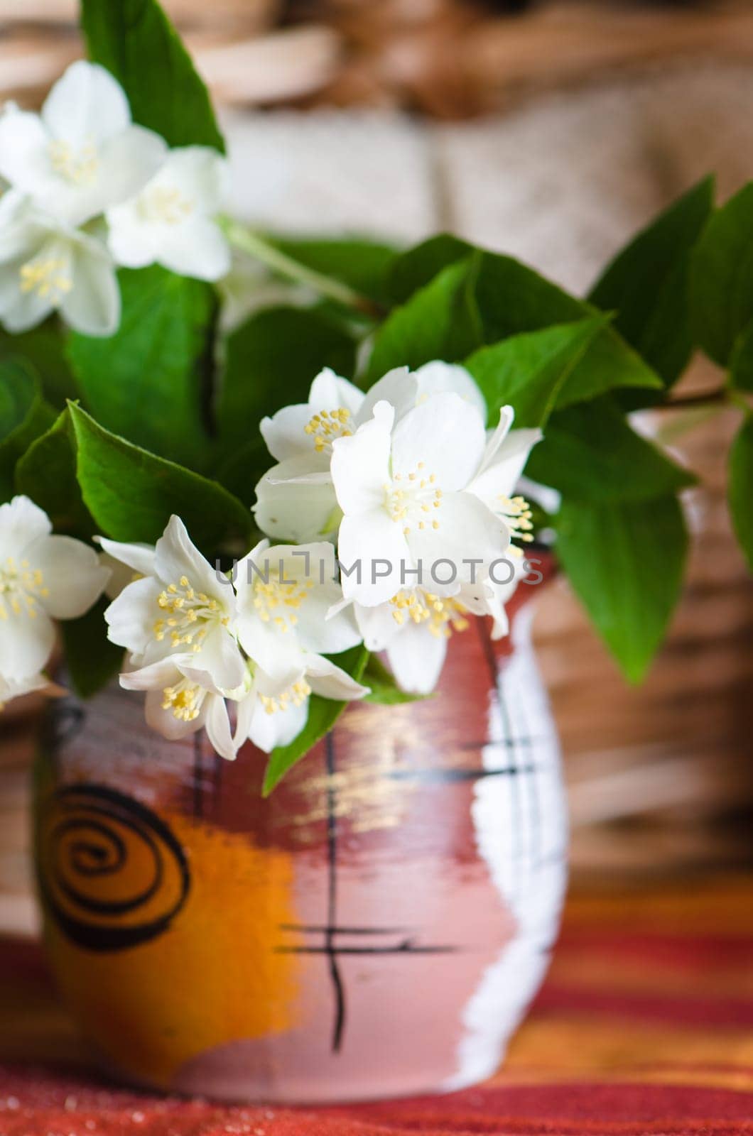 Beautiful flowers of a jasmin, close up. Summer  background