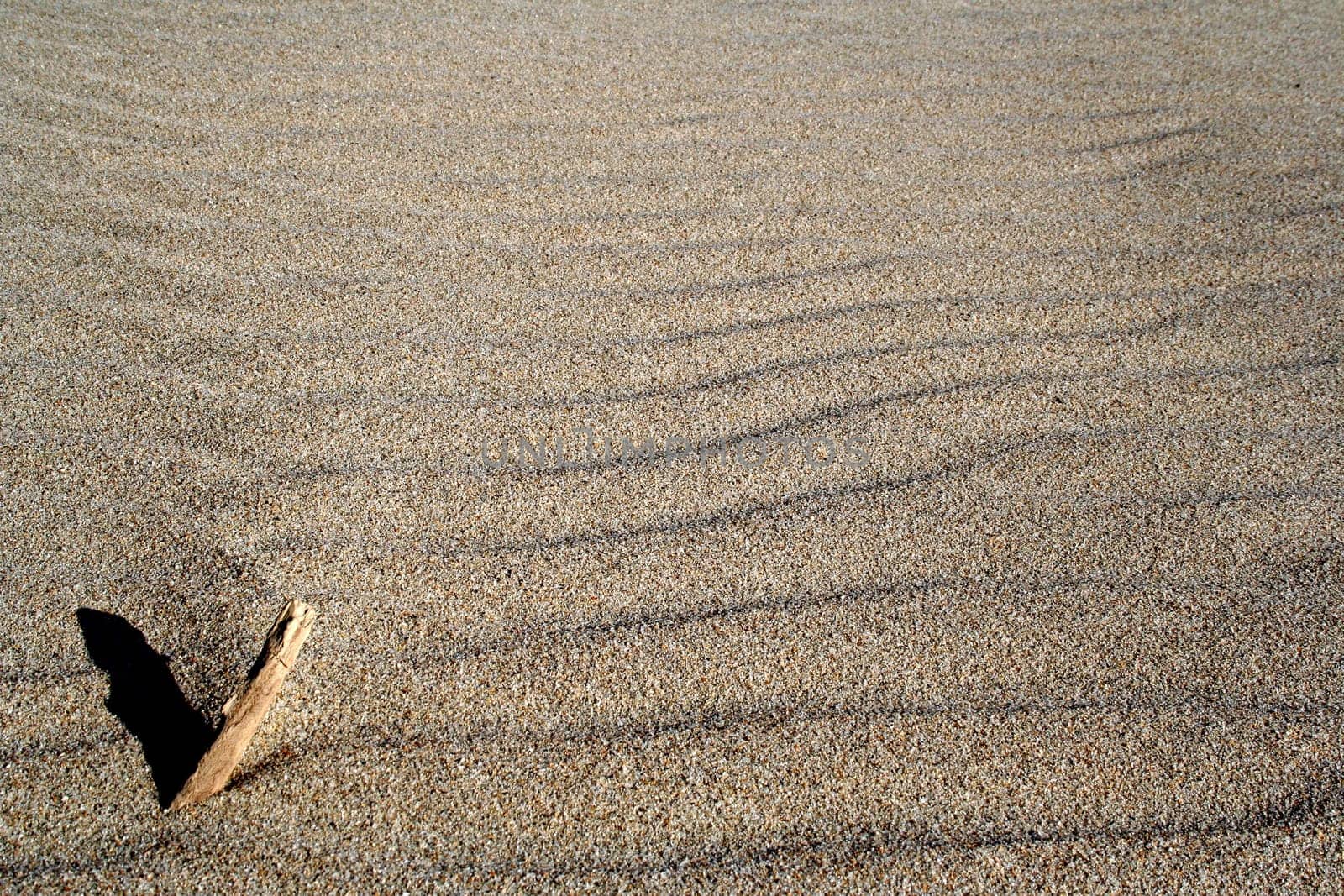 Background from the Beach. Wet sand
