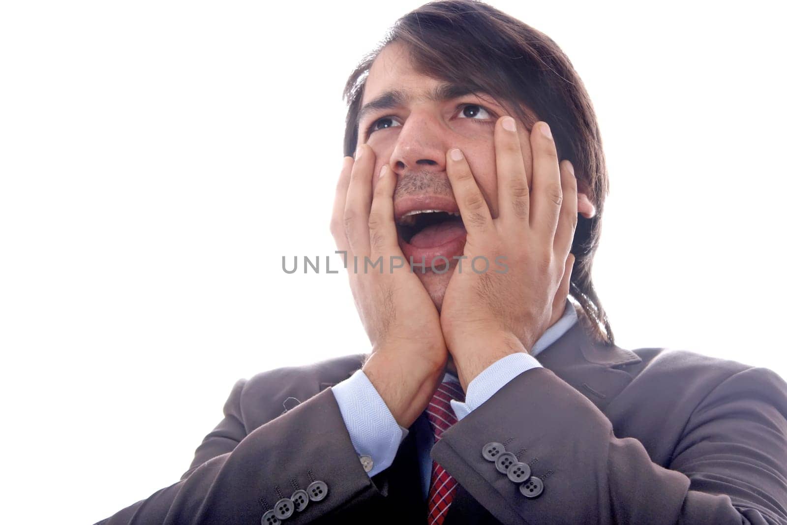 Young business men portrait