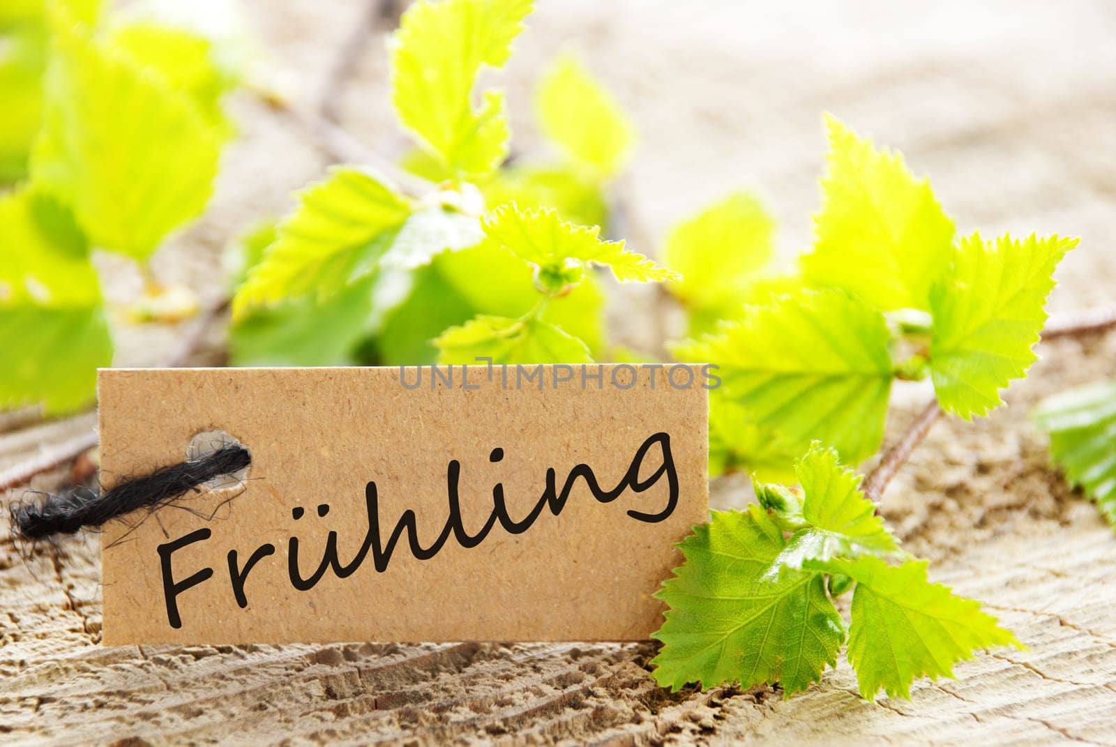 a natural looking label with green leaves and wood as background