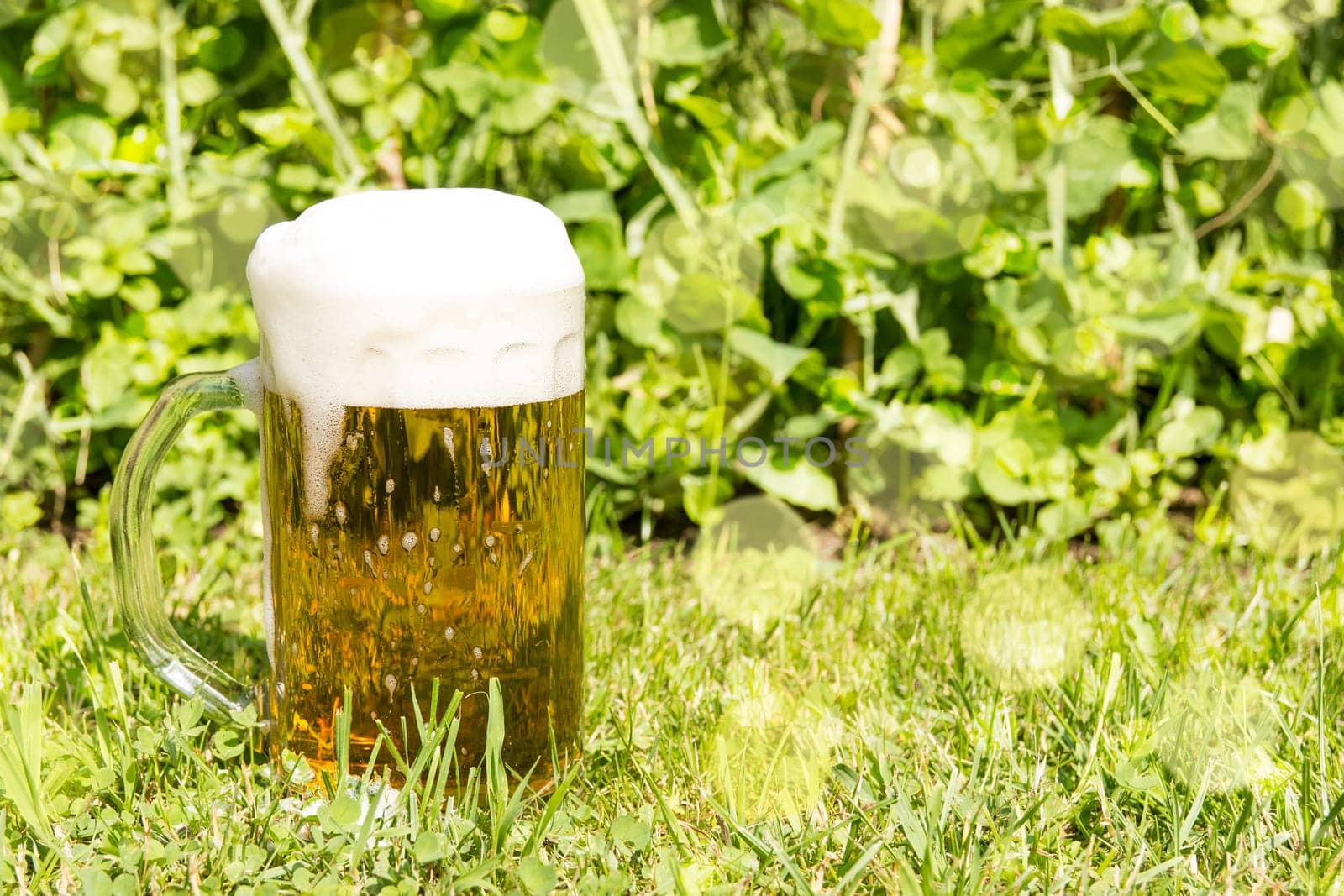 Glass with beer and white froth on the green grass