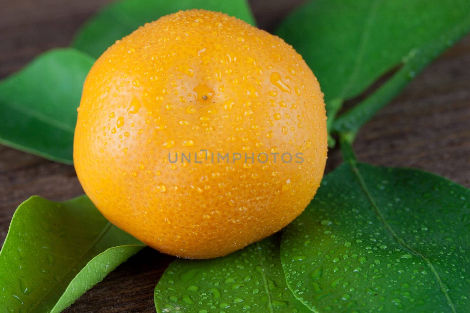 juicy orange