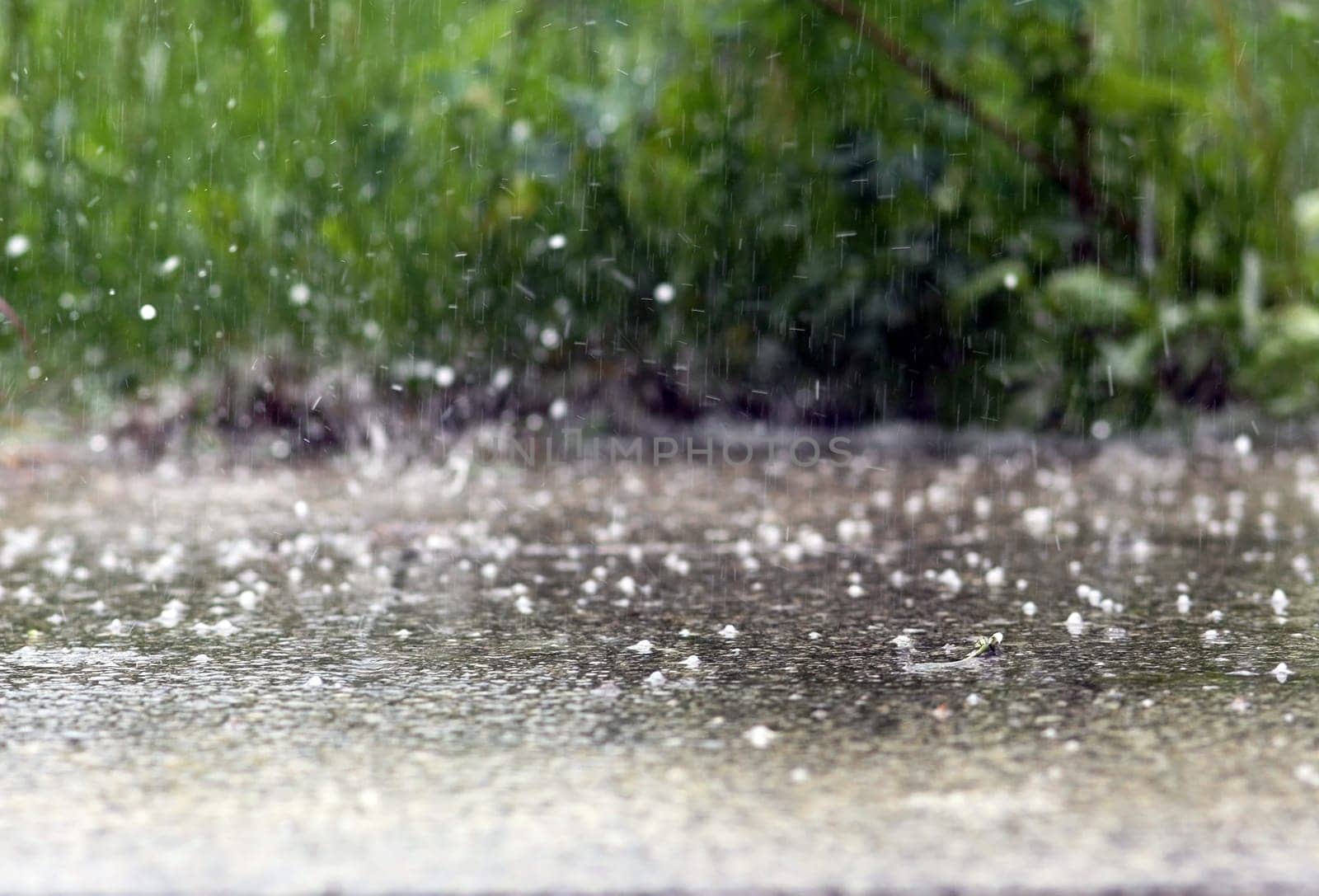 A heavy rain shower