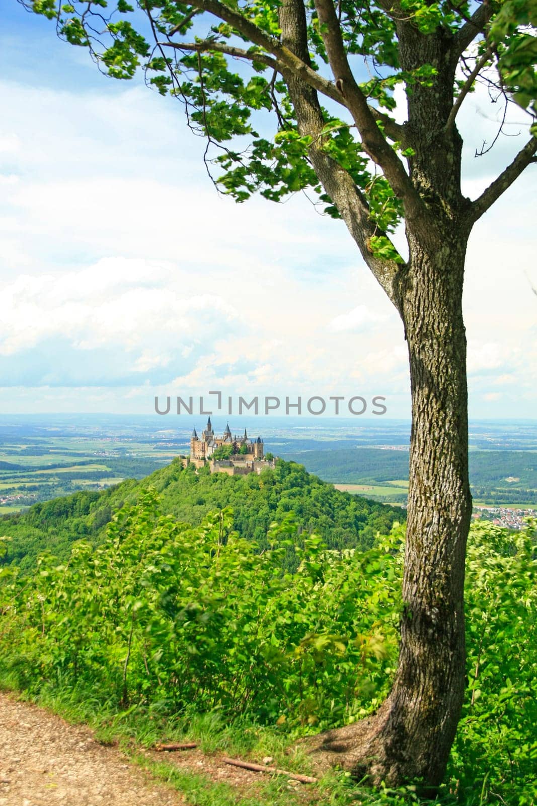 View from the Zeller Horn to Hohenzollern Castle on the Swabian Alb,Baden-Württemberg,Germany