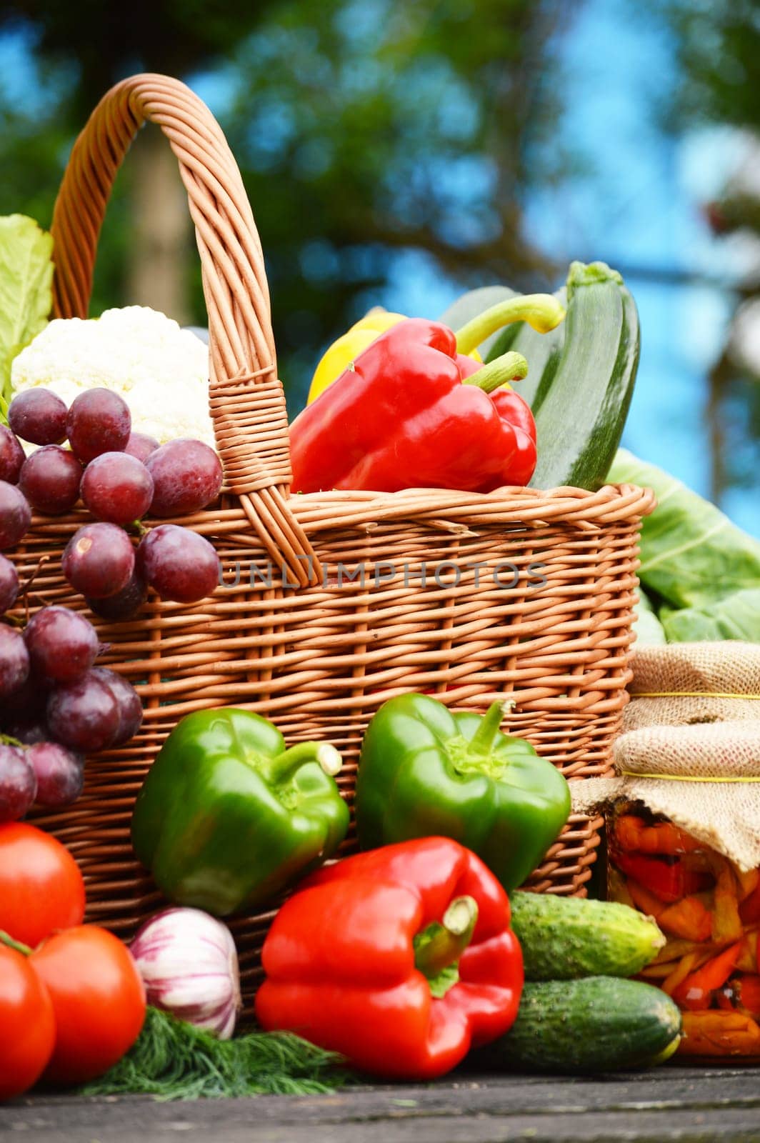 Fresh organic vegetables in wicker basket in the garden
