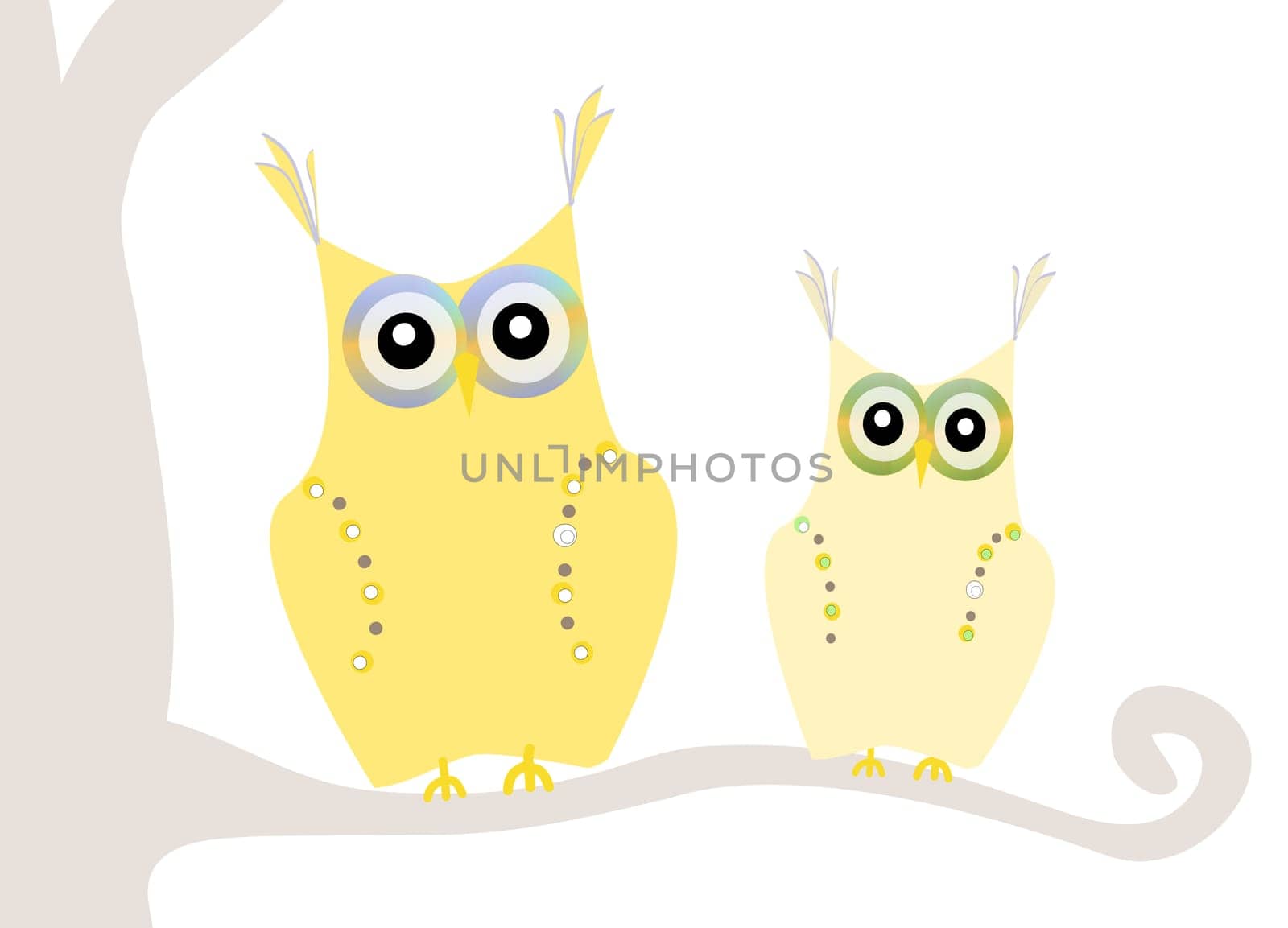 two owls