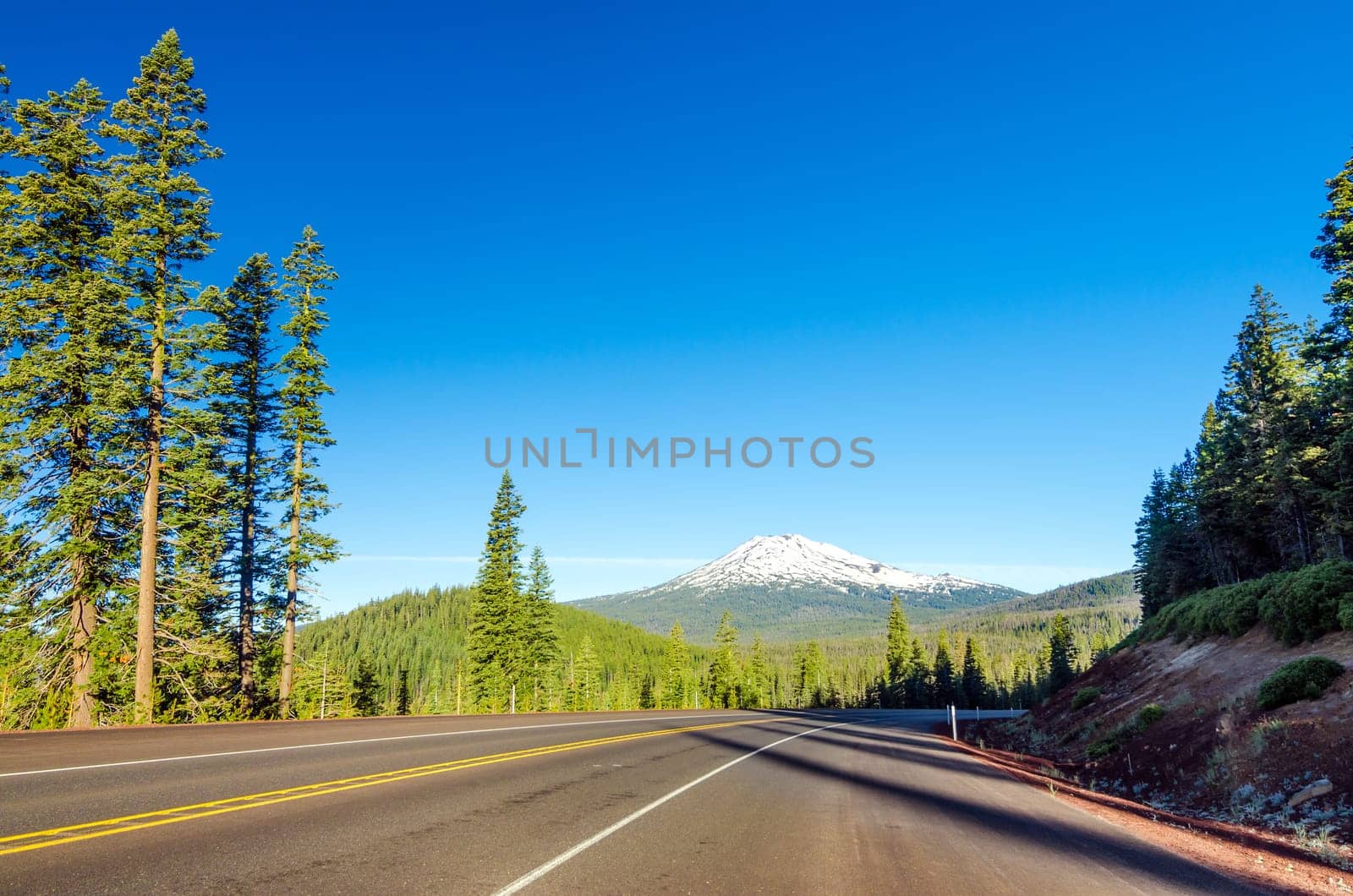 Highway leading through a lush green forest to Mt. Bachelor near Bend, Oregon