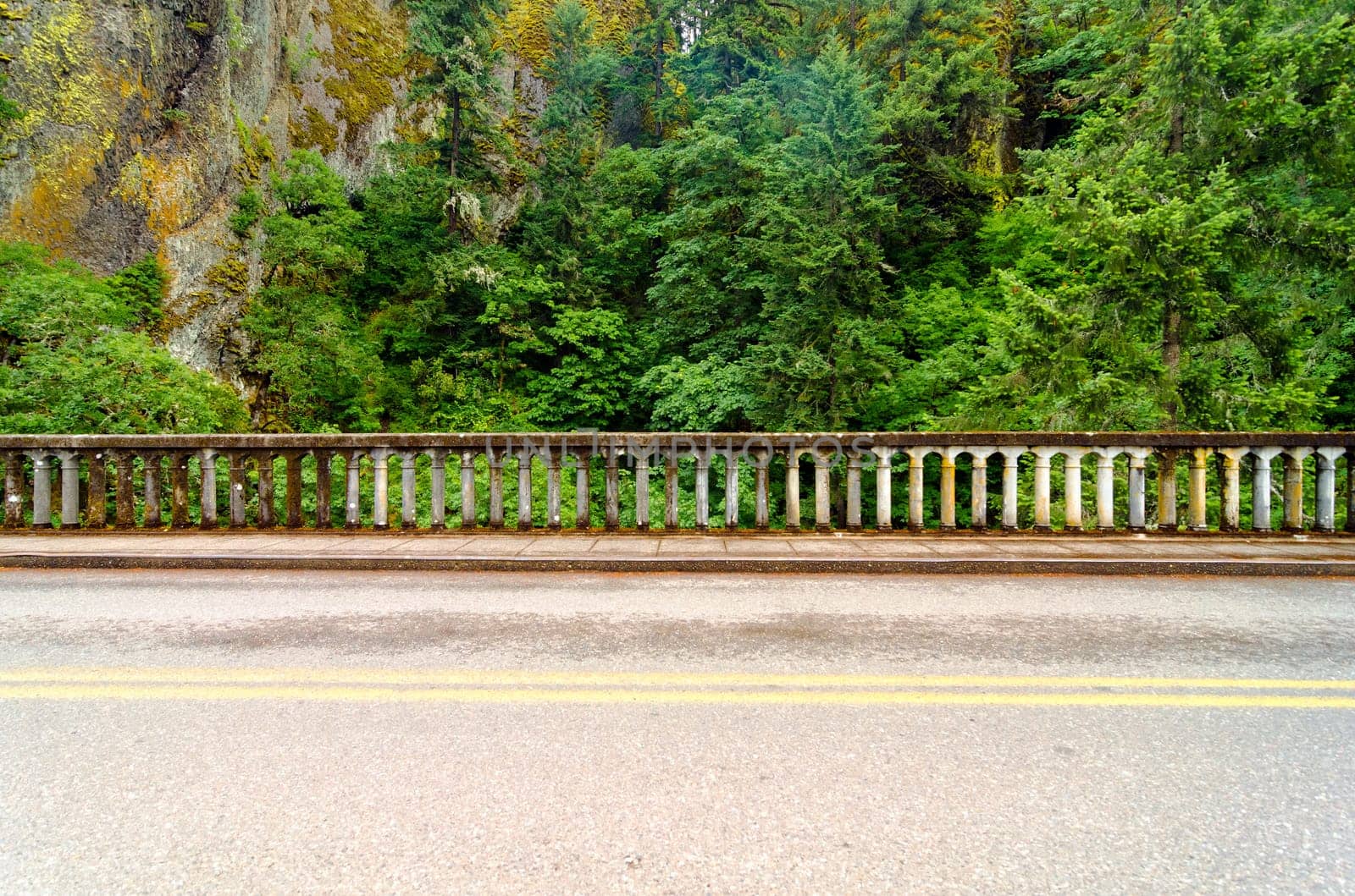 Concrete railing of historic Highway 30 with a beautiful green rainforest passing through the Columbia River Gorge in Oregon.