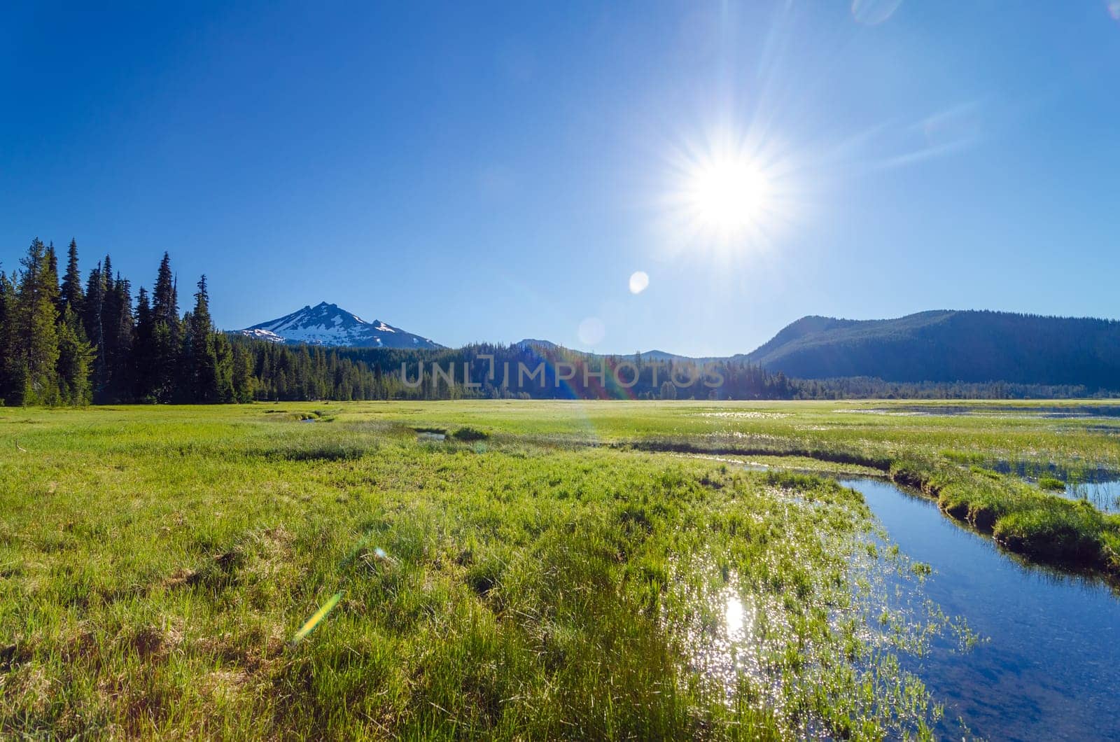 View of a meadow and South Sister mountain shot looking directly into the sun near Bend, Oregon