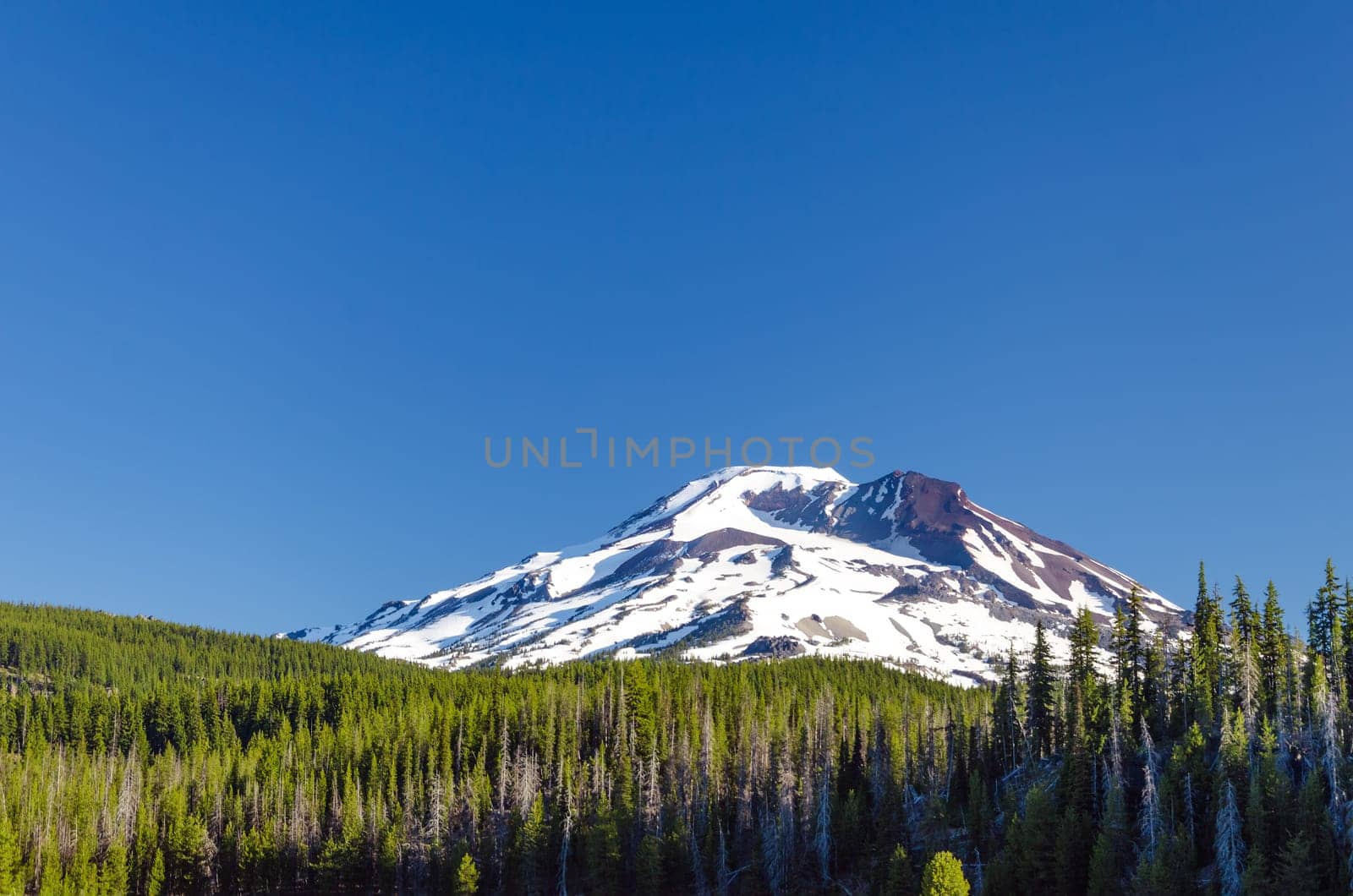 View of a forest surrounding one of the Three Sisters Mountains