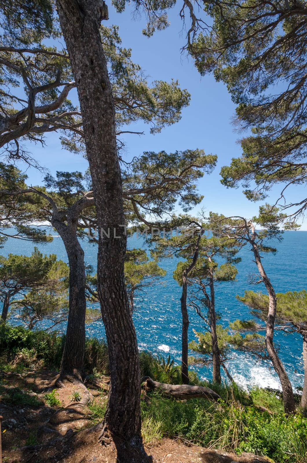 stretch of coast to Portofino in Italy