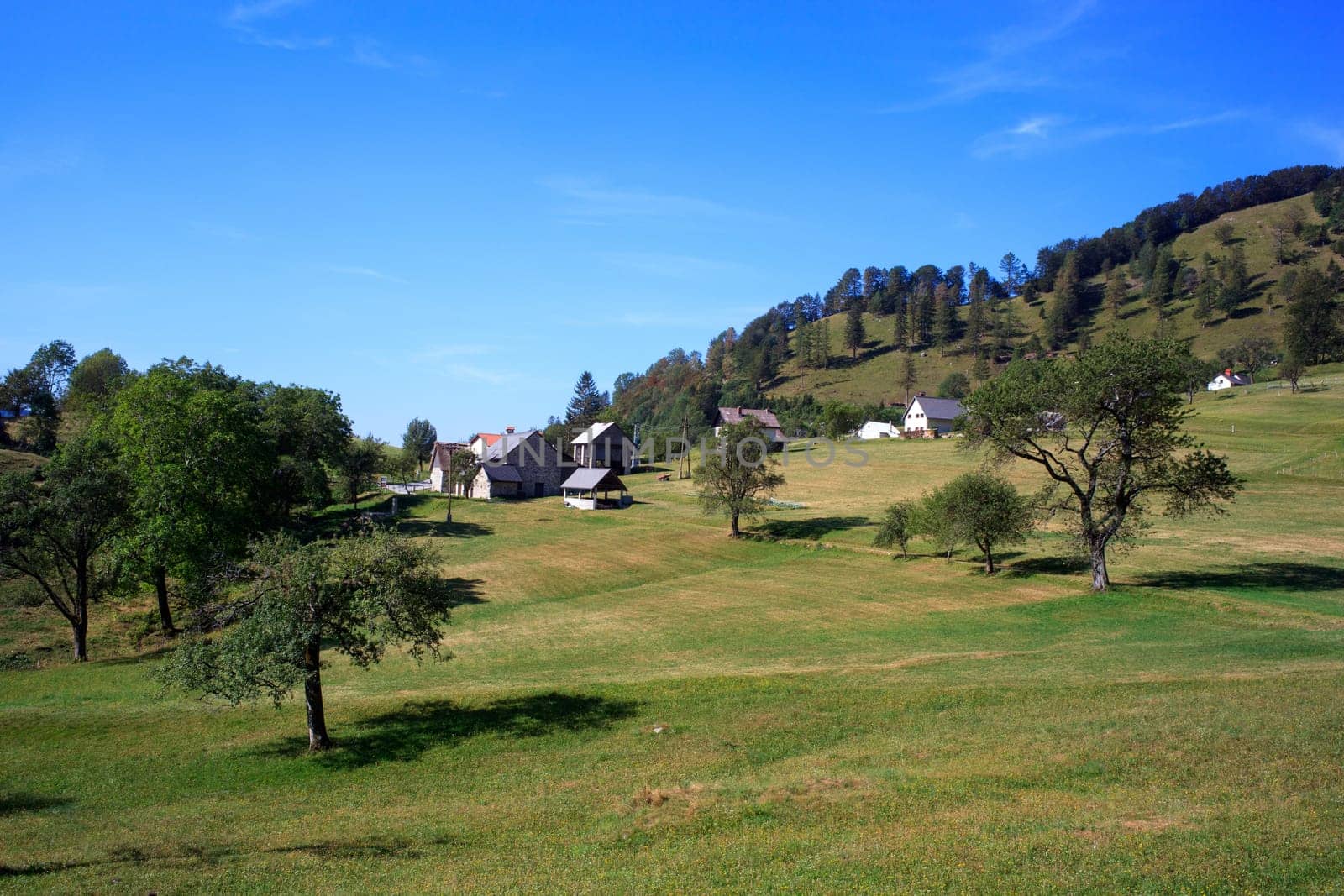 Grass and trees, Tolminske Ravne countryside - Slovenia