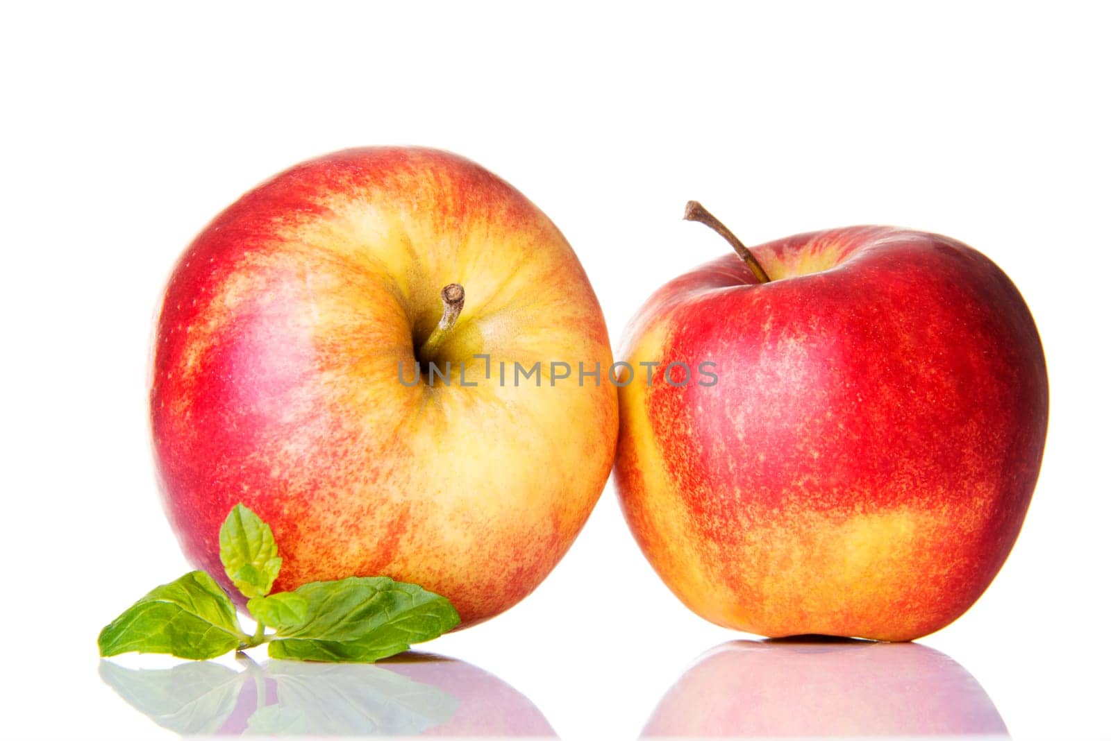 apples with mint,isolated on white background